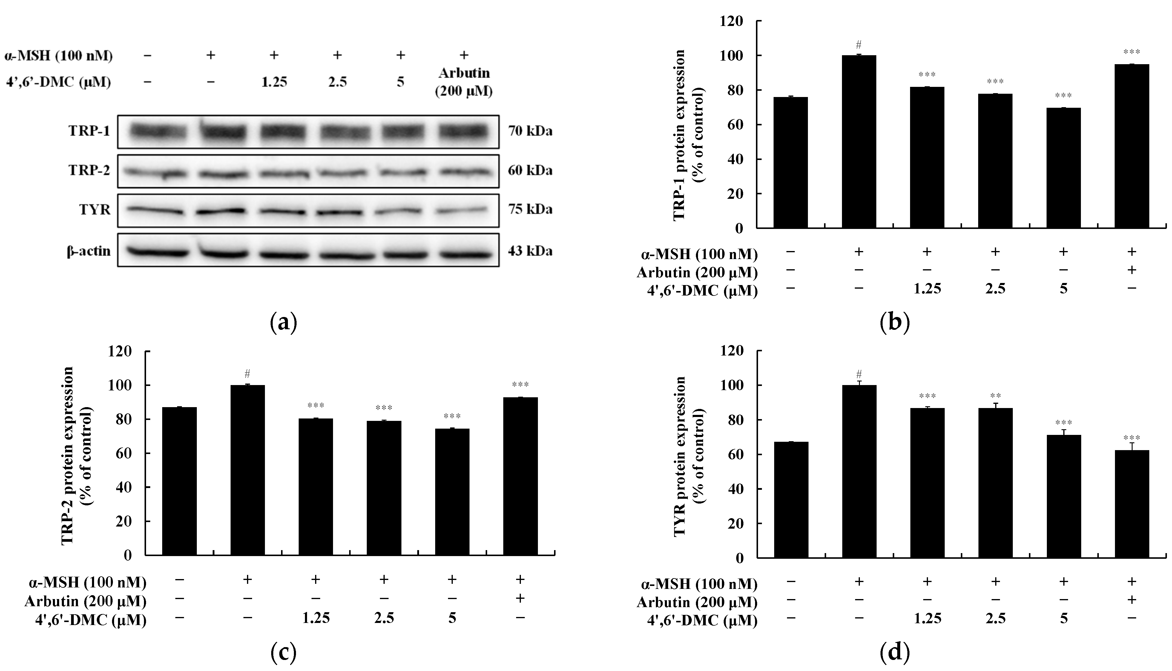 Cimb 46 00359 g005 Cimb 46 00359 g005