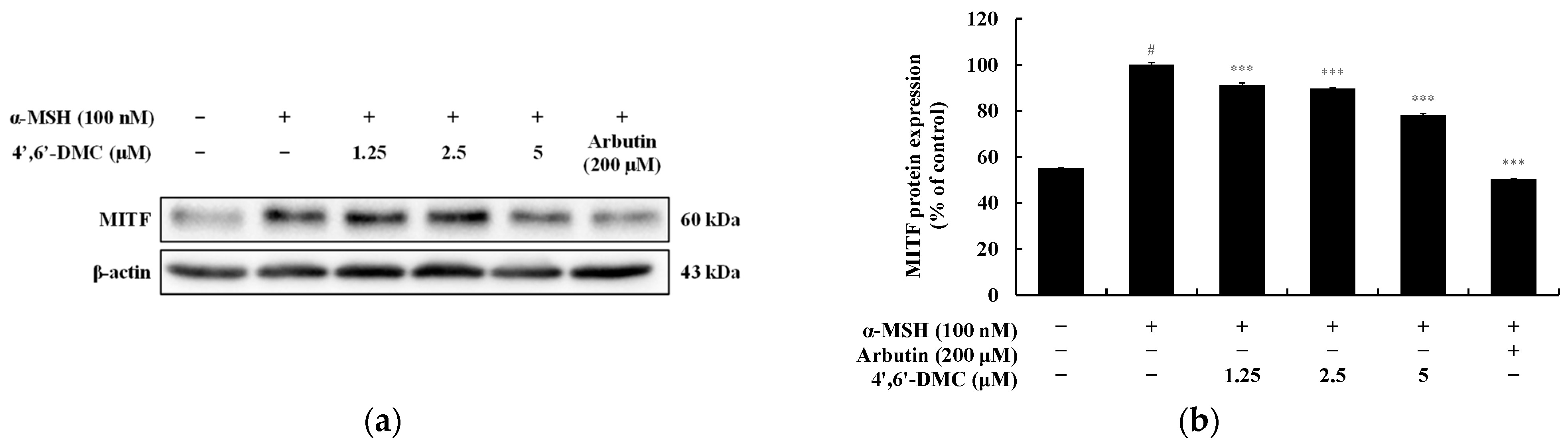Cimb 46 00359 g006 Cimb 46 00359 g006
