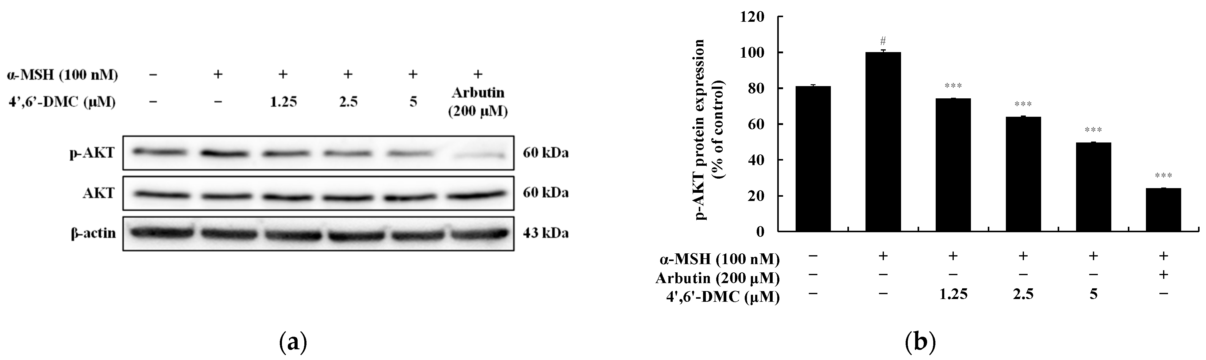 Cimb 46 00359 g008 Cimb 46 00359 g008