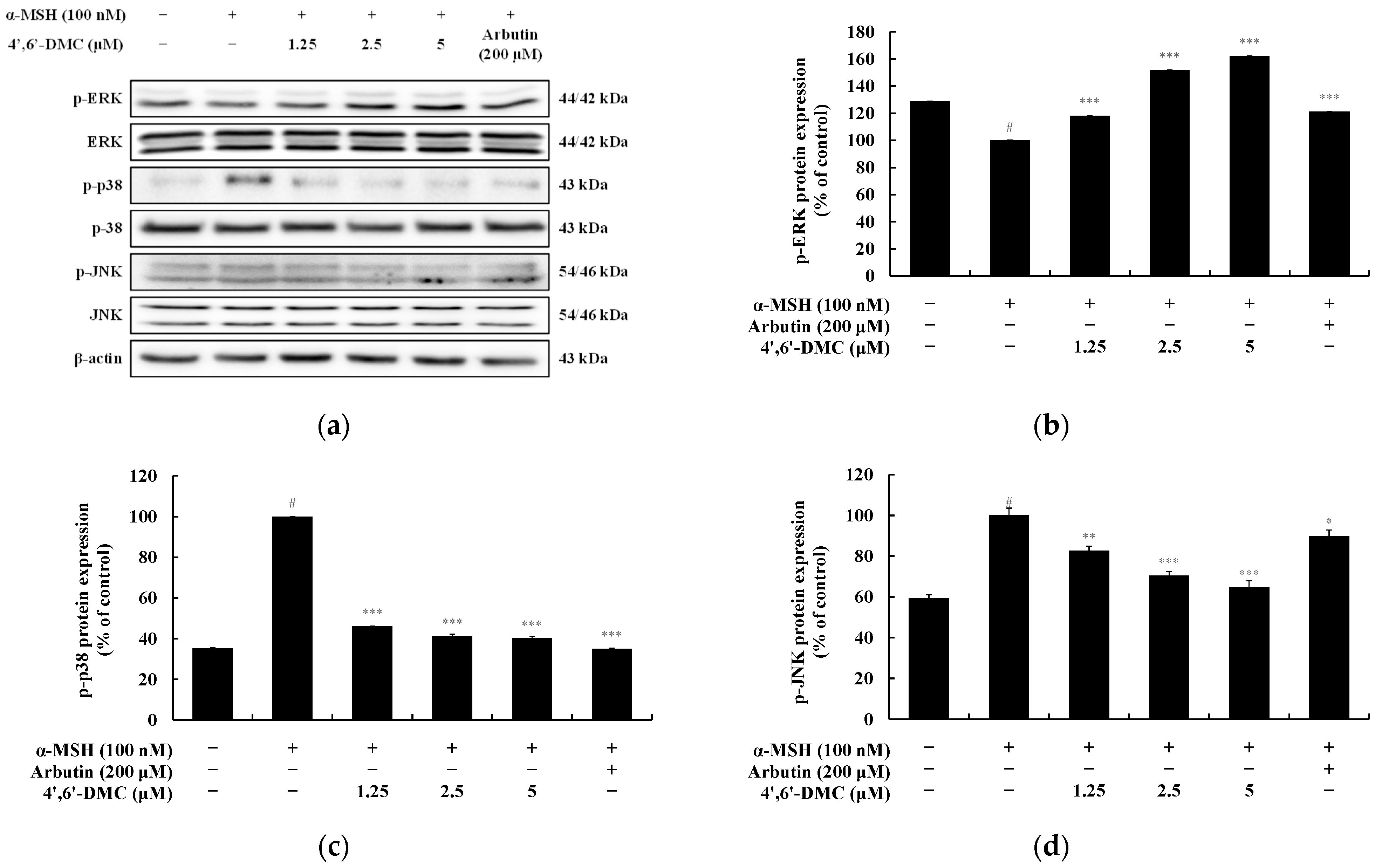Cimb 46 00359 g009 Cimb 46 00359 g009