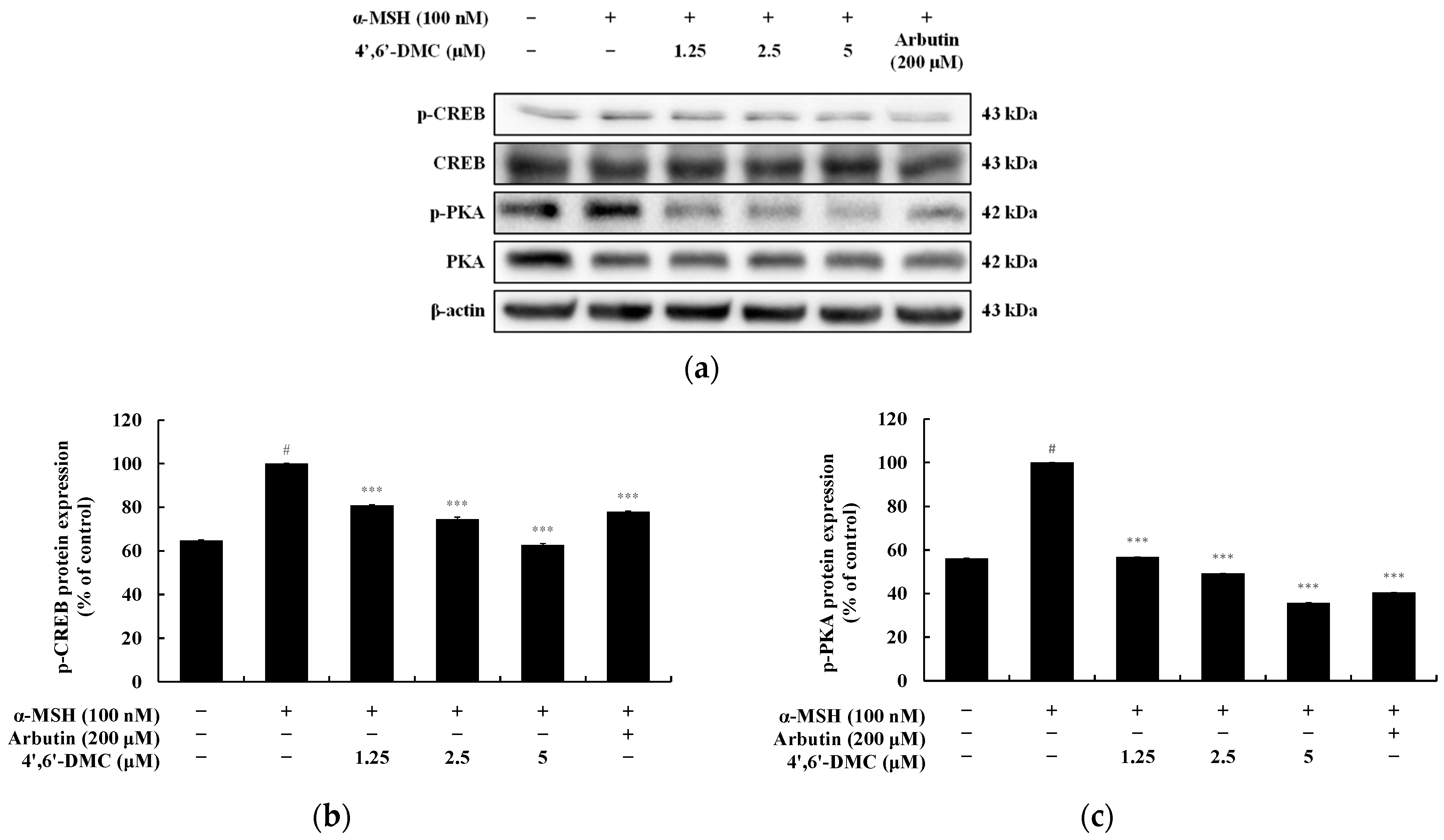 Cimb 46 00359 g010 Cimb 46 00359 g010
