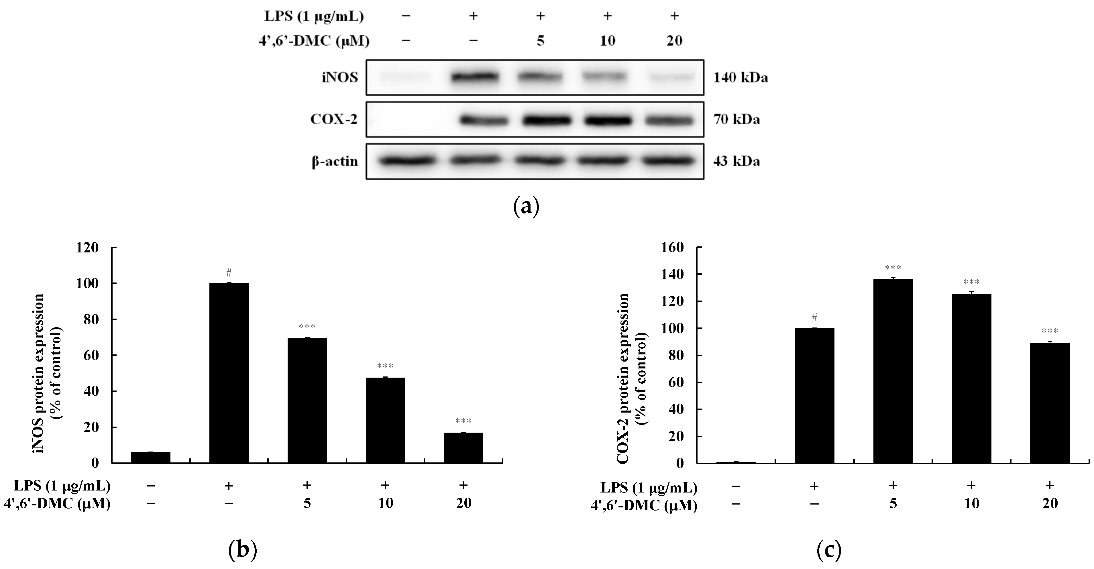 Cimb 46 00359 g014 Cimb 46 00359 g014