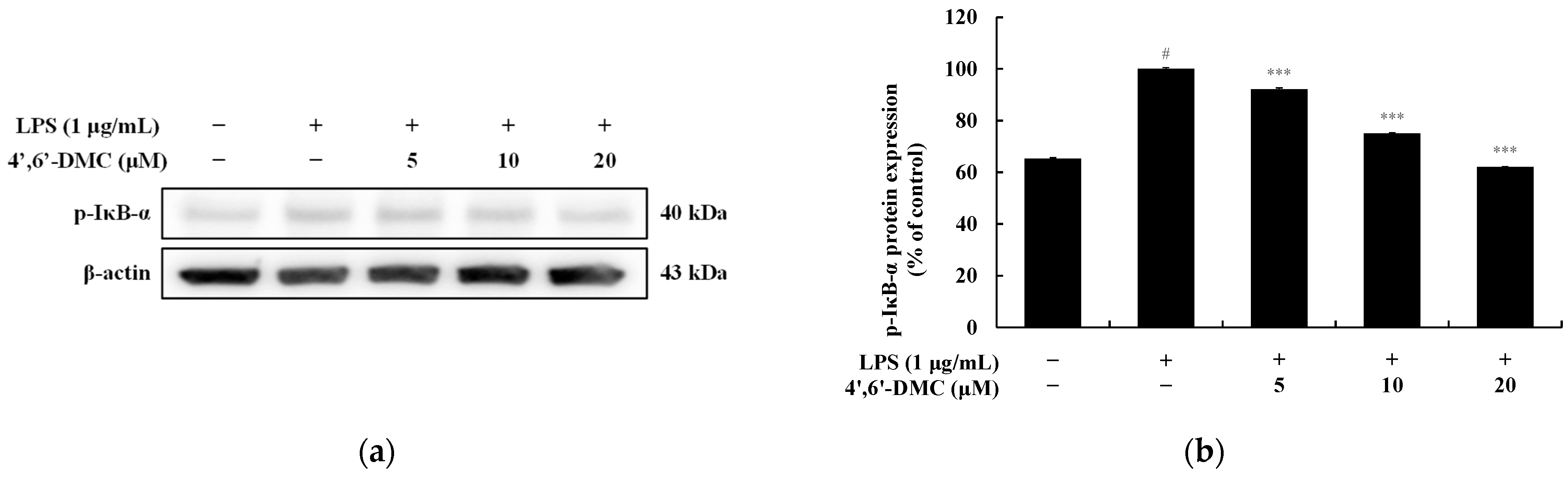 Cimb 46 00359 g016 Cimb 46 00359 g016