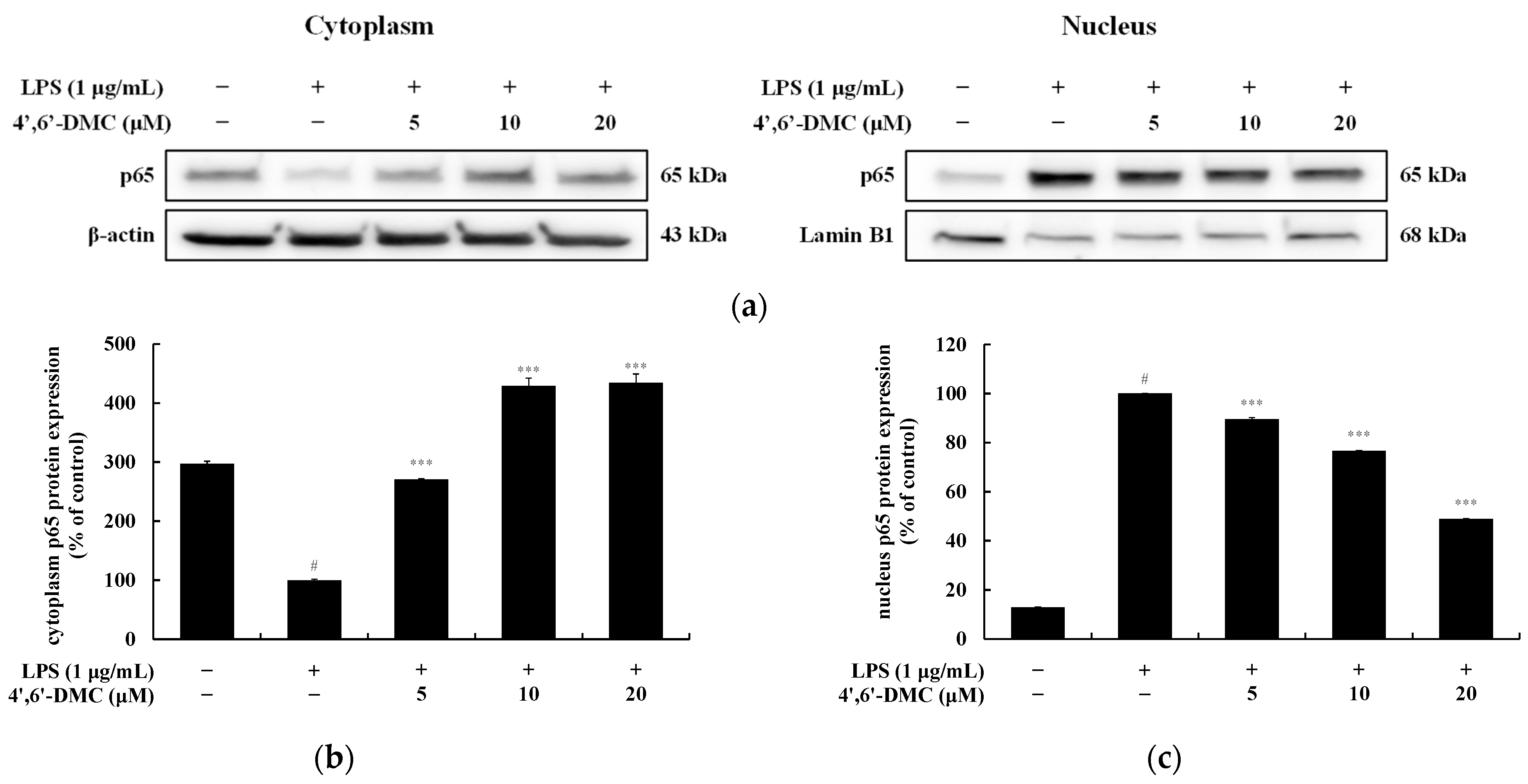 Cimb 46 00359 g017 Cimb 46 00359 g017