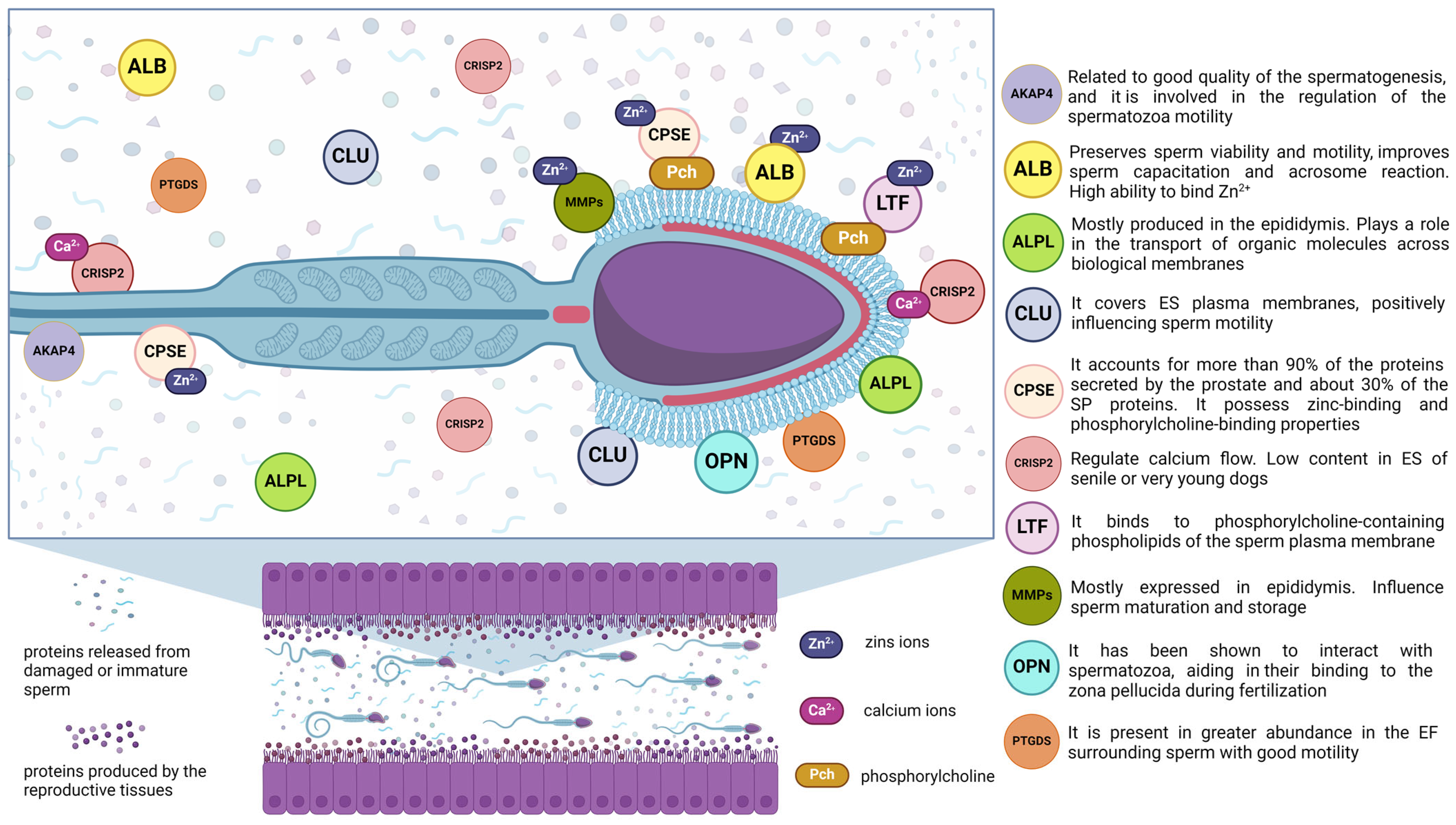 Cimb 46 00367 g001 Cimb 46 00367 g001
