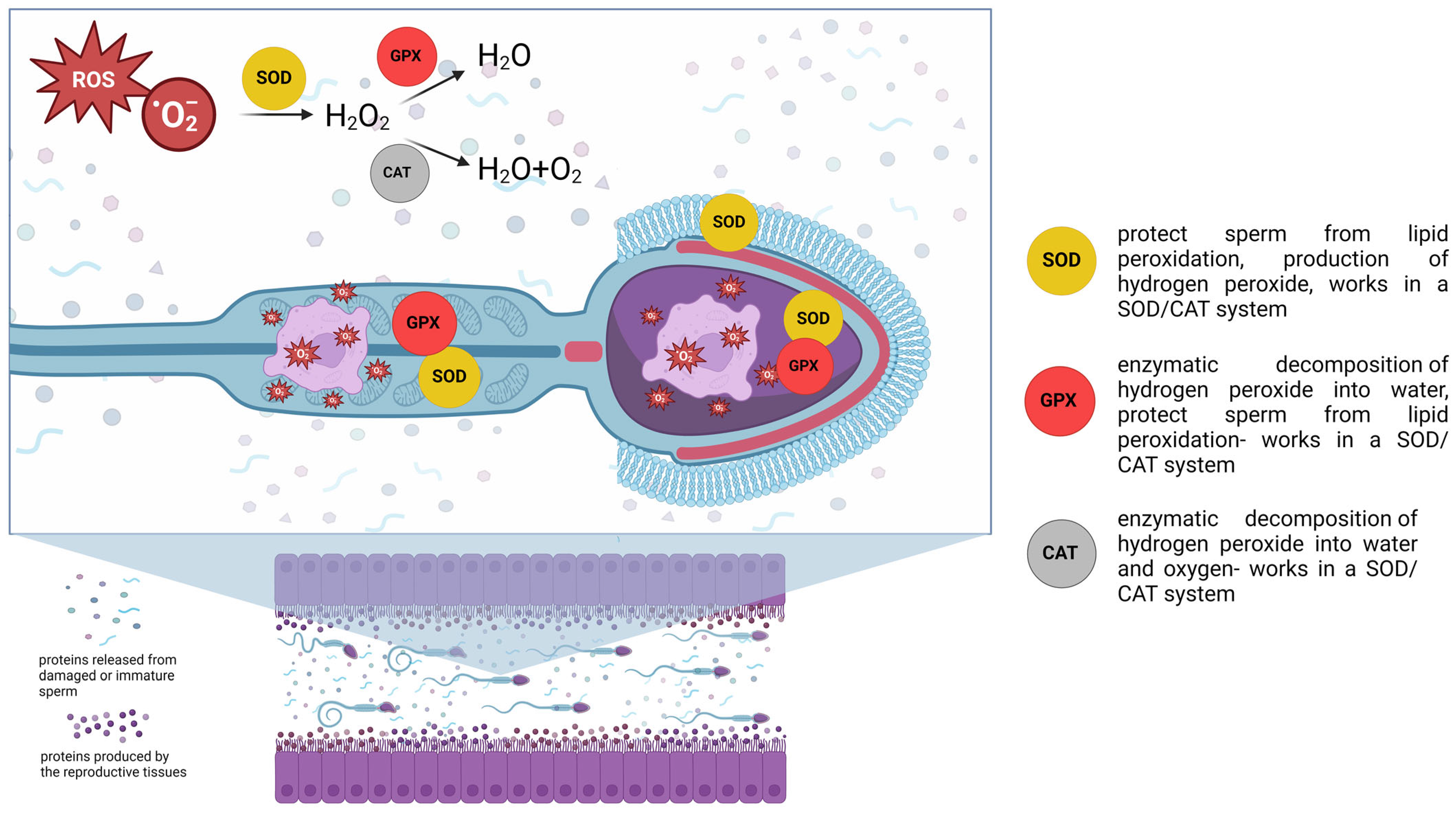 Cimb 46 00367 g003 Cimb 46 00367 g003