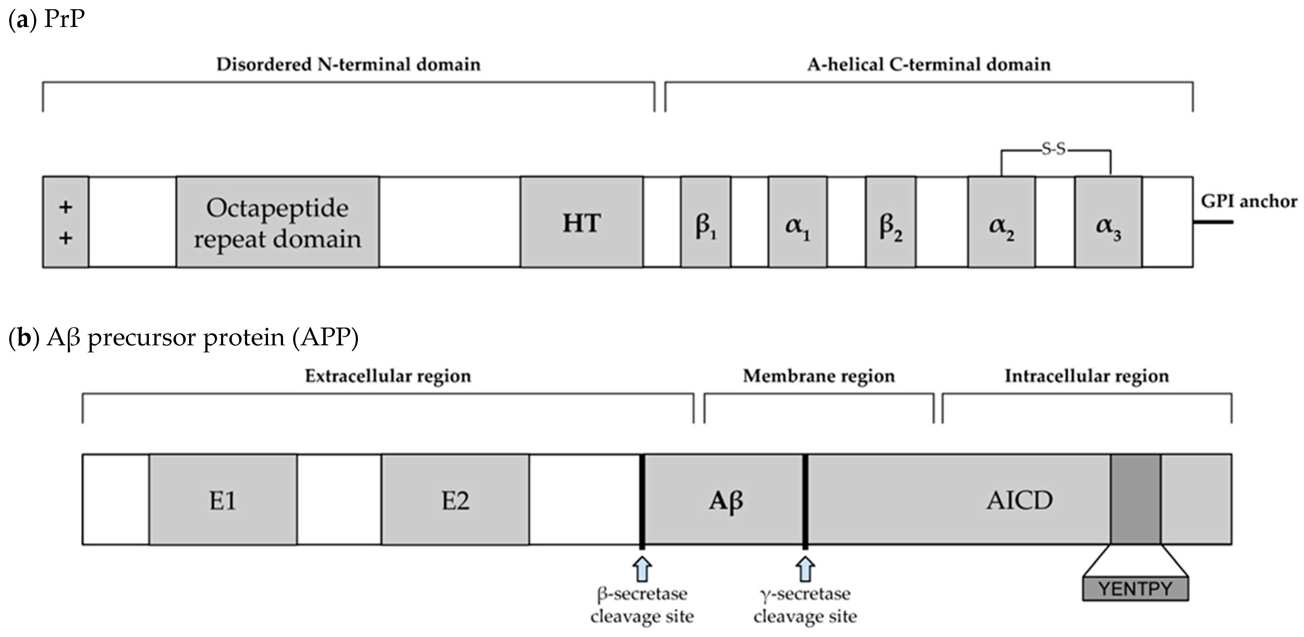 Cimb 46 00384 g002a Cimb 46 00384 g002a