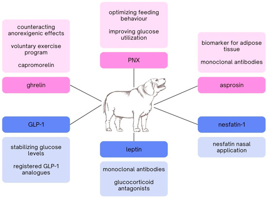 Examining the Potential Applicability of Orexigenic and