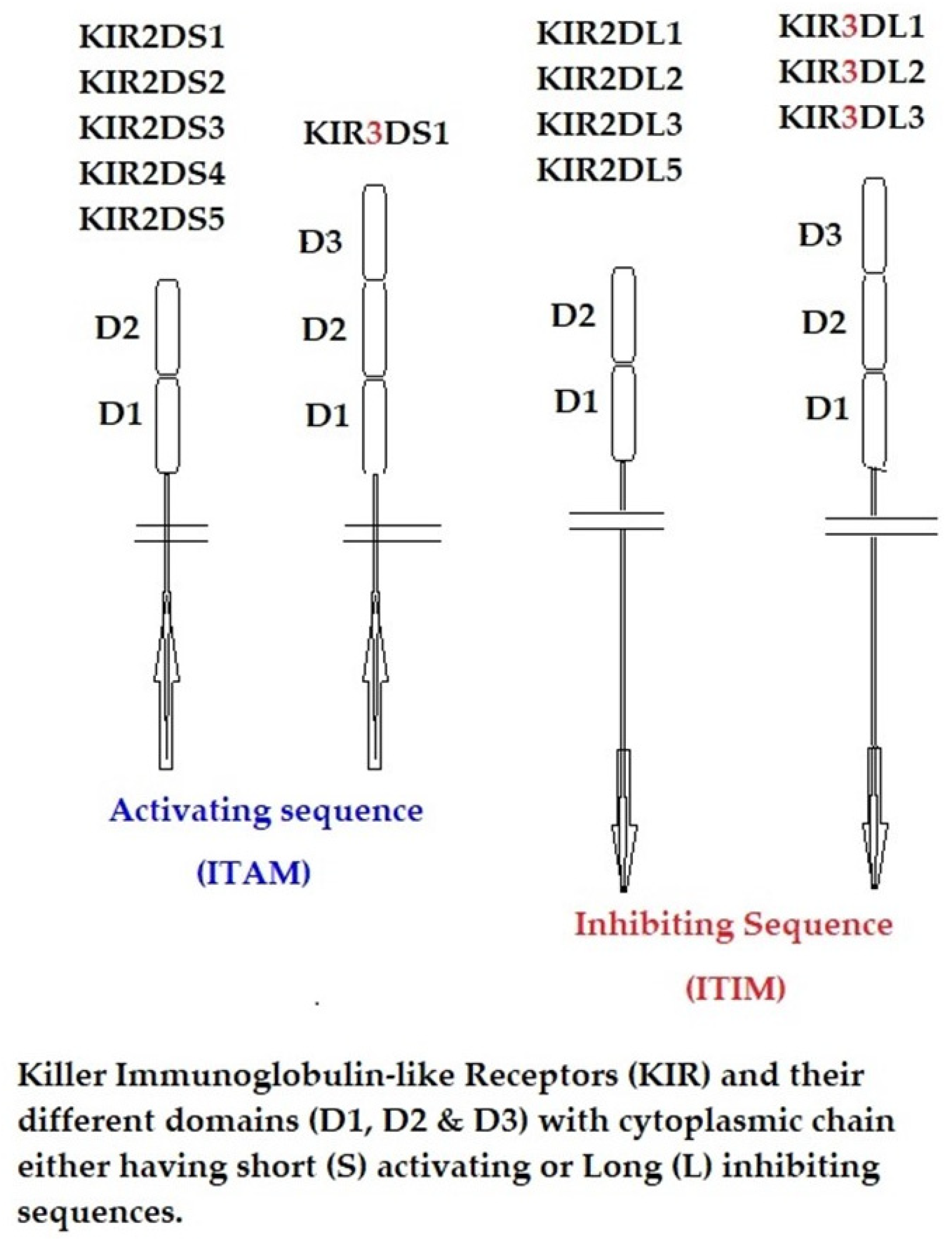 Cimb 46 00416 g002 Cimb 46 00416 g002