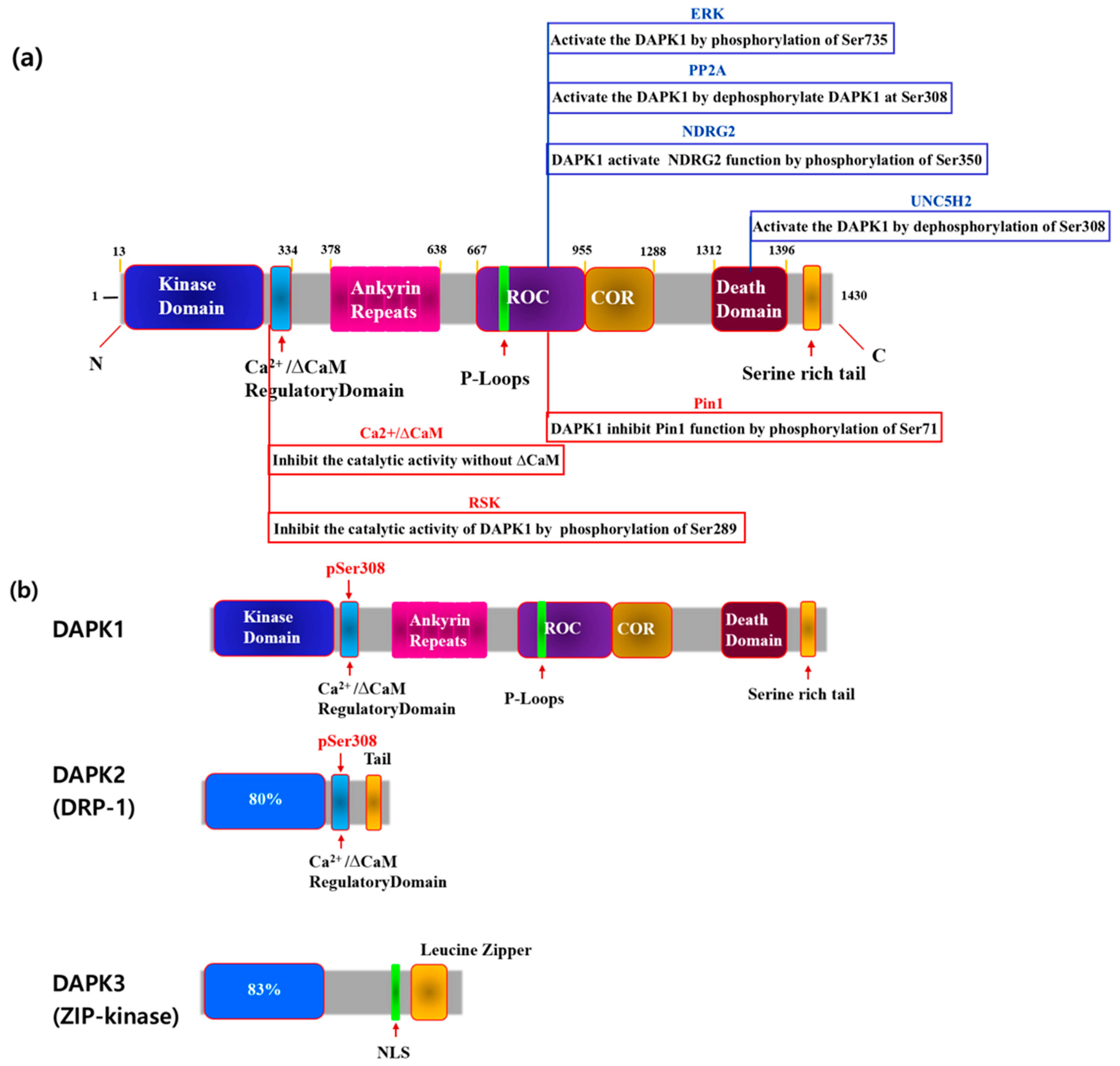 Cimb 46 00422 g001 Cimb 46 00422 g001