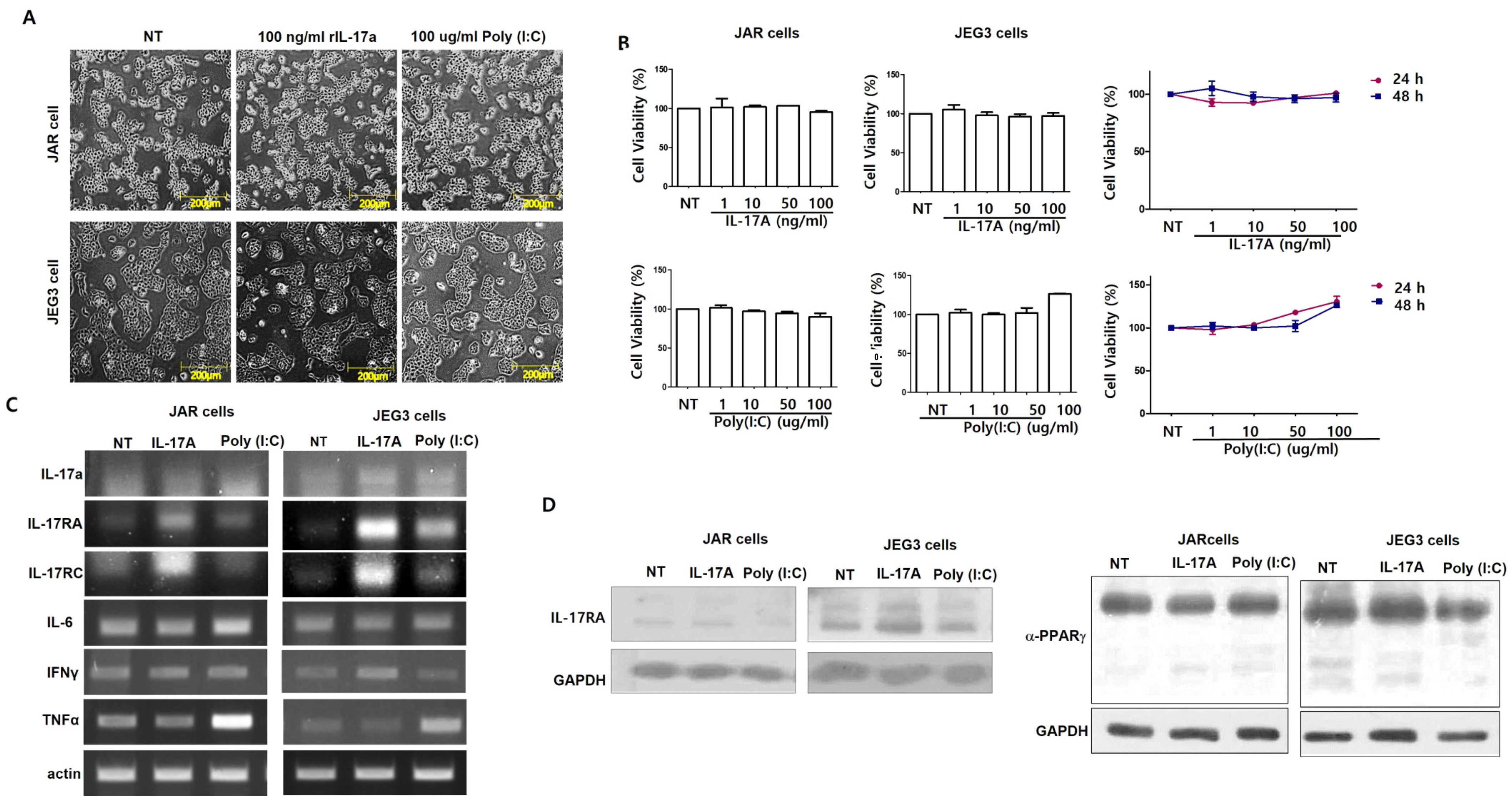 Cimb 46 00438 g001 Cimb 46 00438 g001