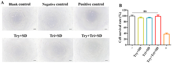 Comparative Analysis of Decellularization Methods for the Production of ...