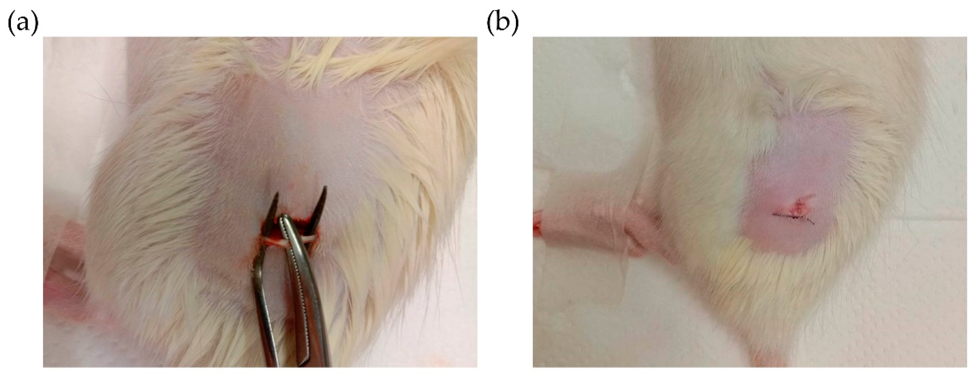 Cimb 46 00467 g002 Cimb 46 00467 g002