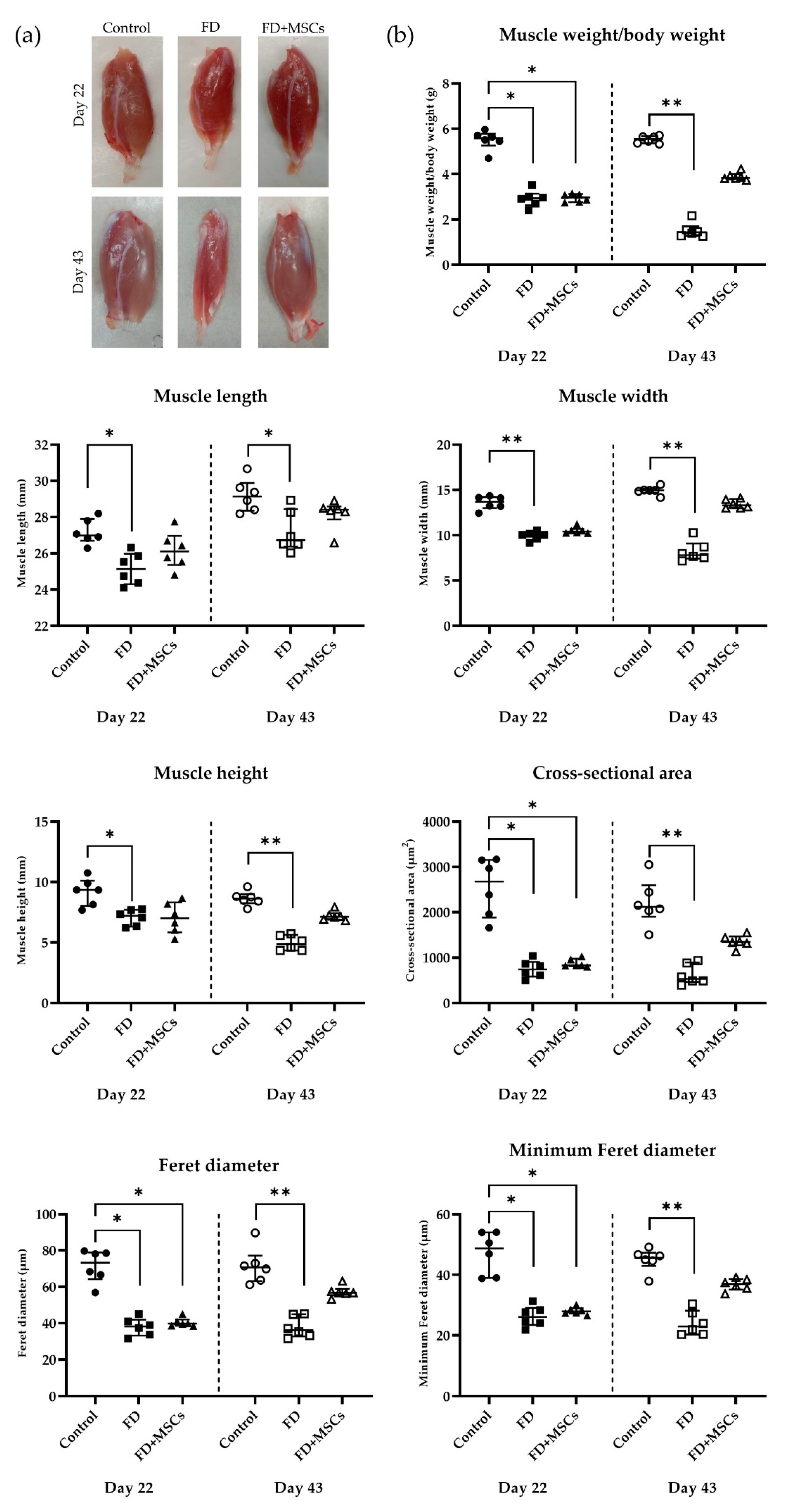 Cimb 46 00467 g003 Cimb 46 00467 g003