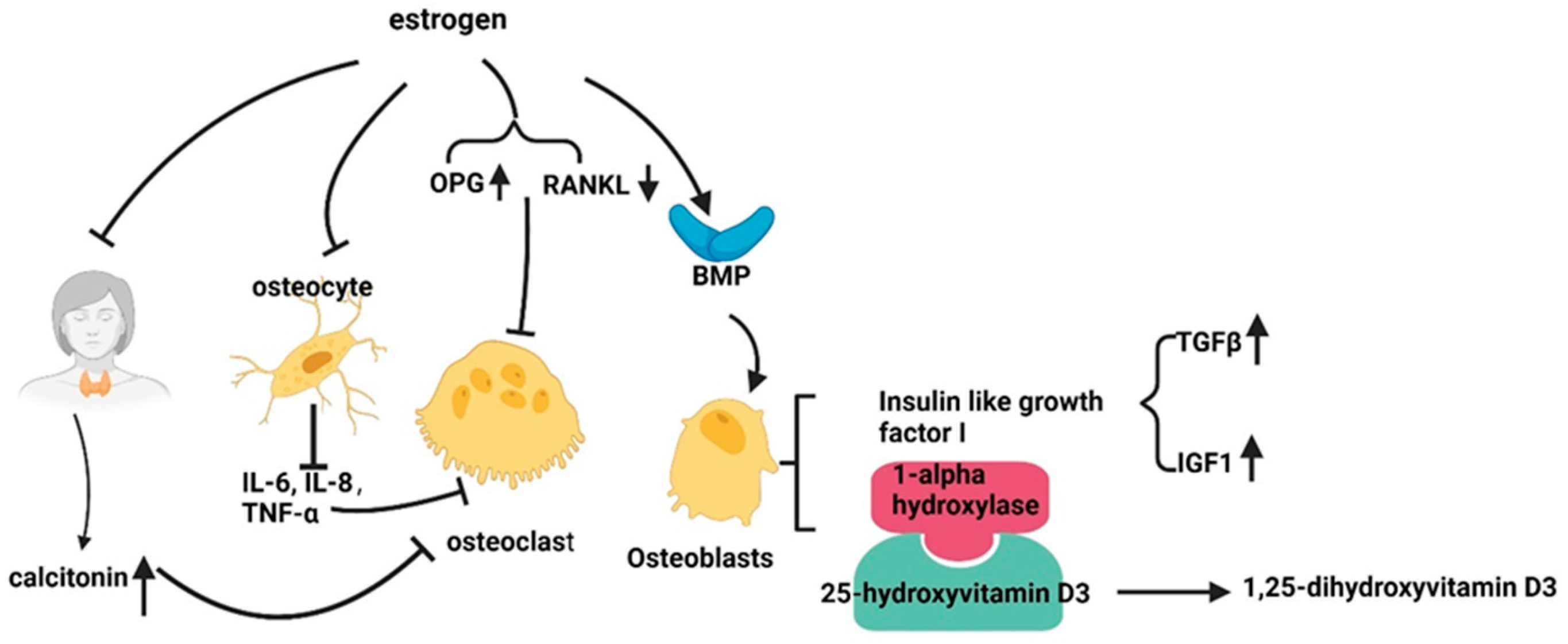 Cimb 46 00483 g005 Cimb 46 00483 g005