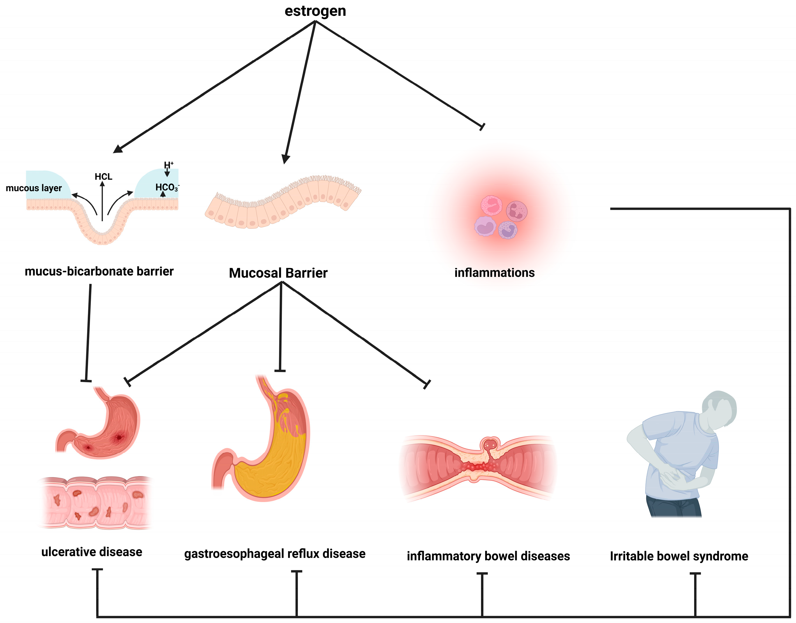 Cimb 46 00483 g006 Cimb 46 00483 g006
