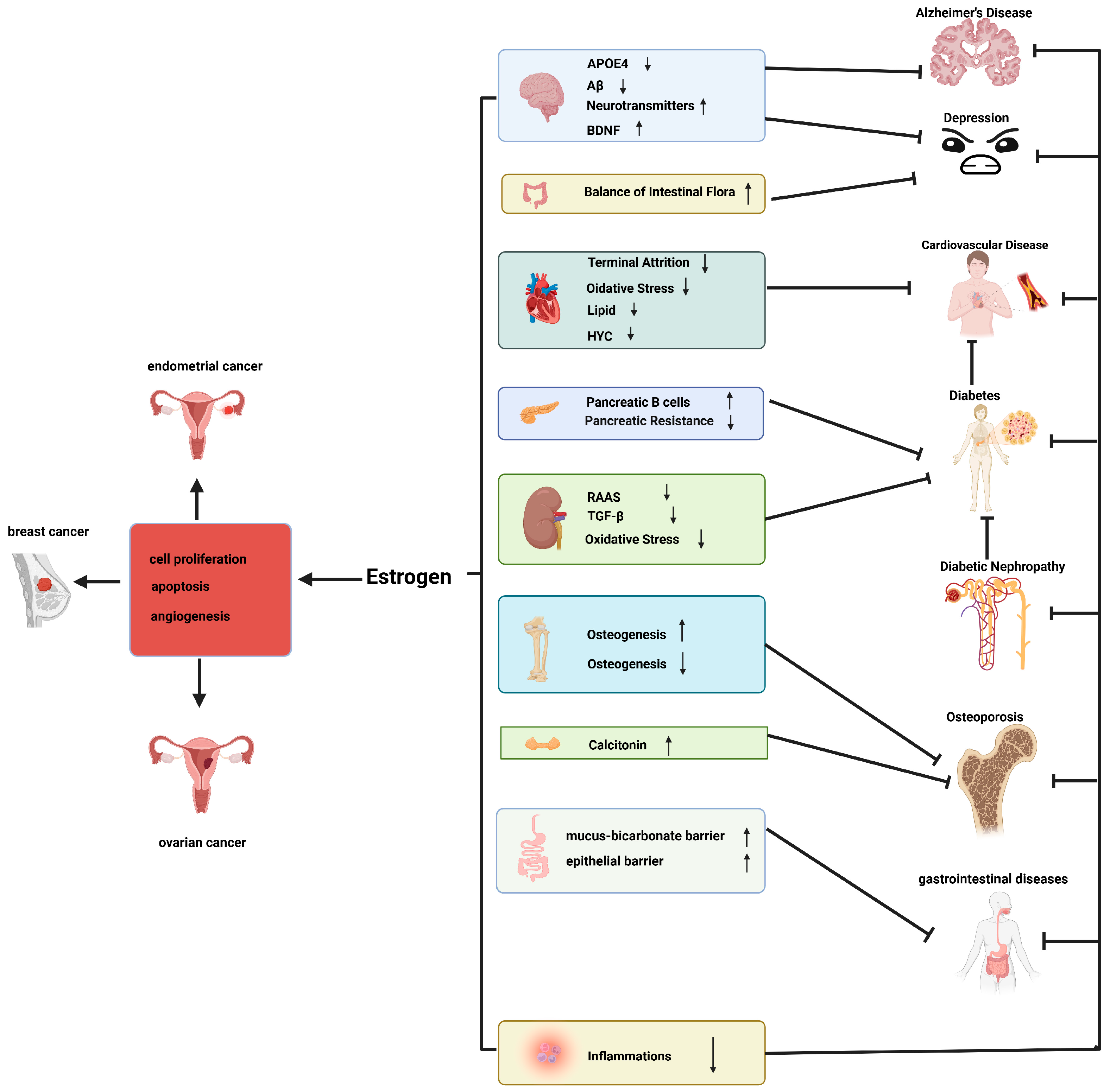 Cimb 46 00483 g008 Cimb 46 00483 g008