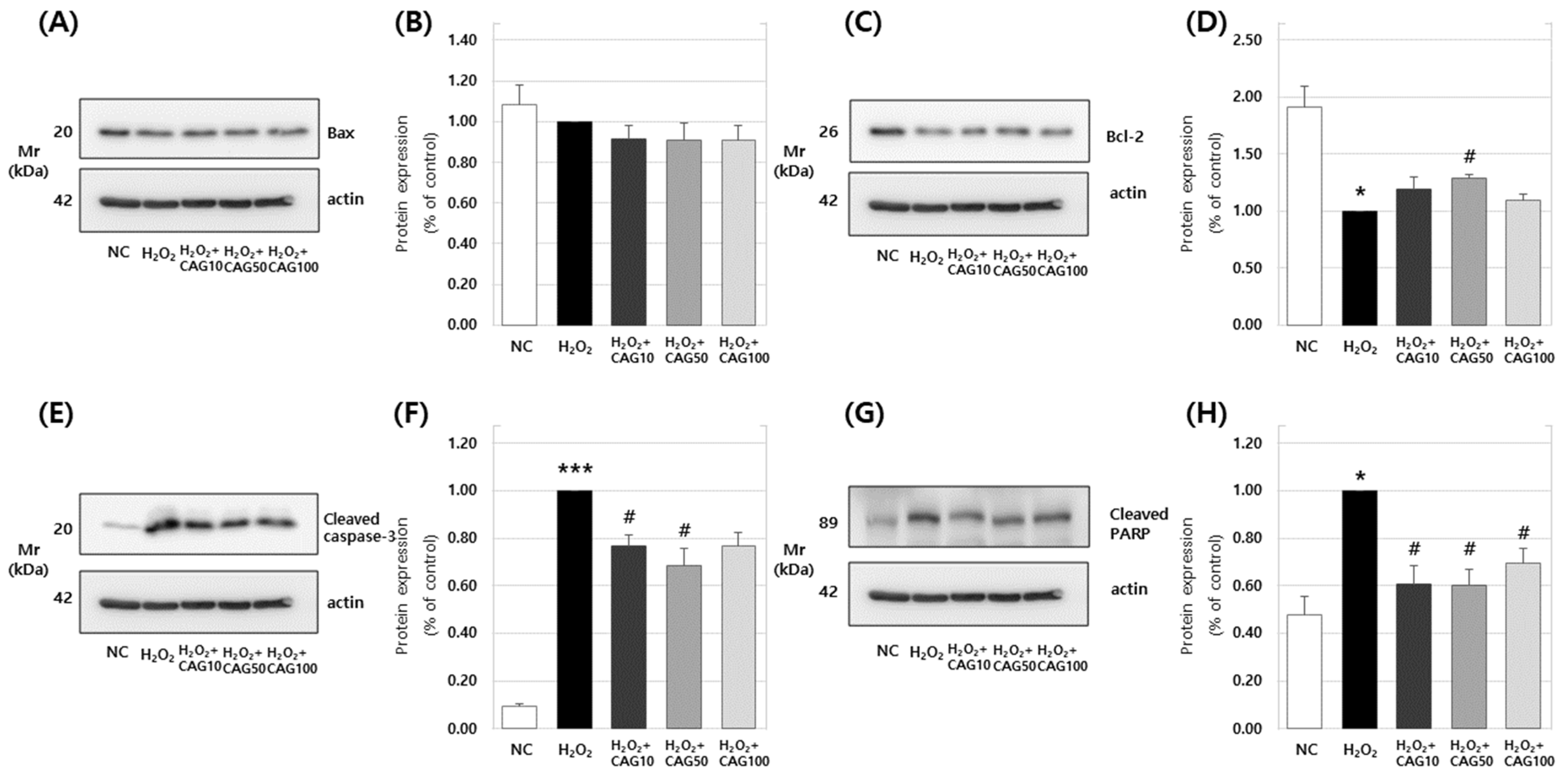 Cimb 46 00491 g007 Cimb 46 00491 g007