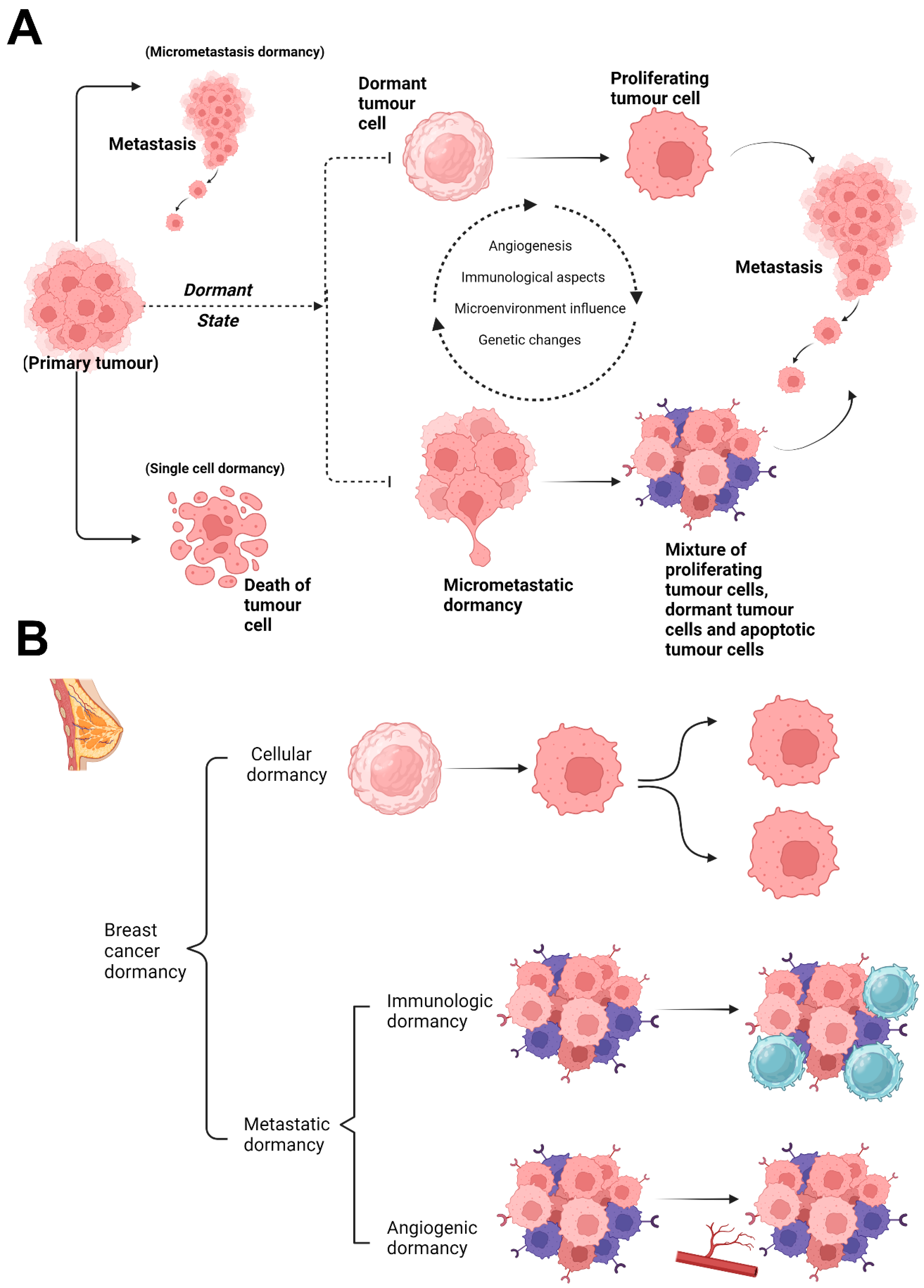 Cimb 46 00492 g001 Cimb 46 00492 g001