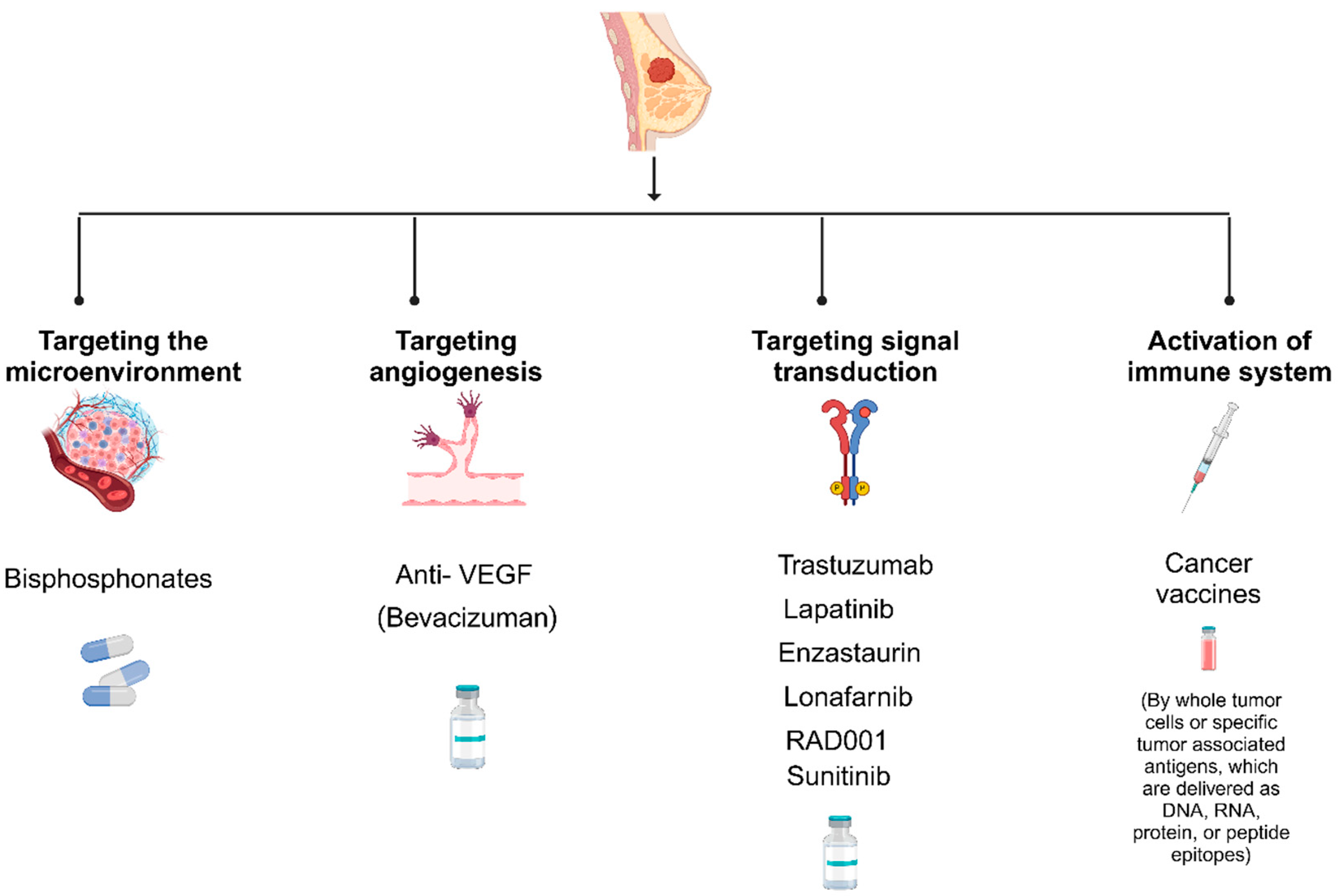 Cimb 46 00492 g002 Cimb 46 00492 g002