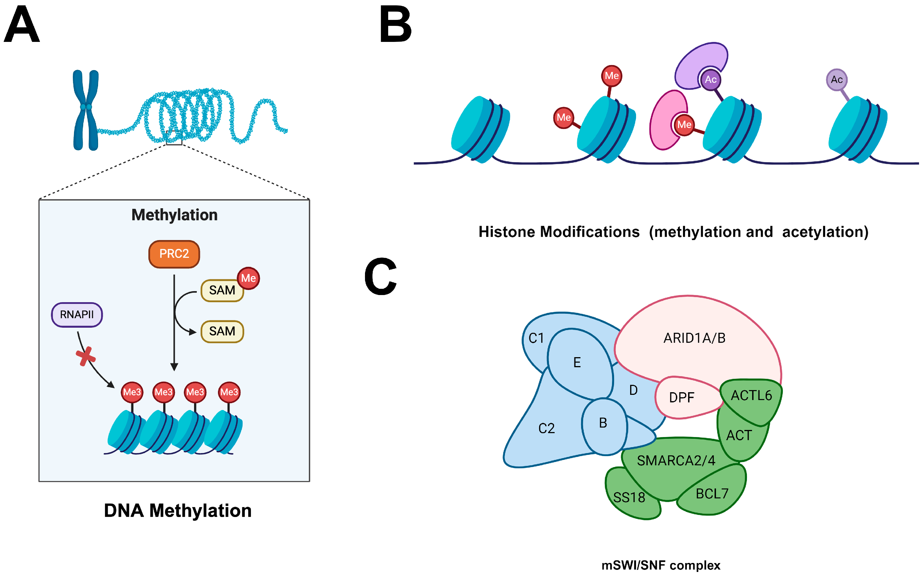 Cimb 46 00492 g004 Cimb 46 00492 g004