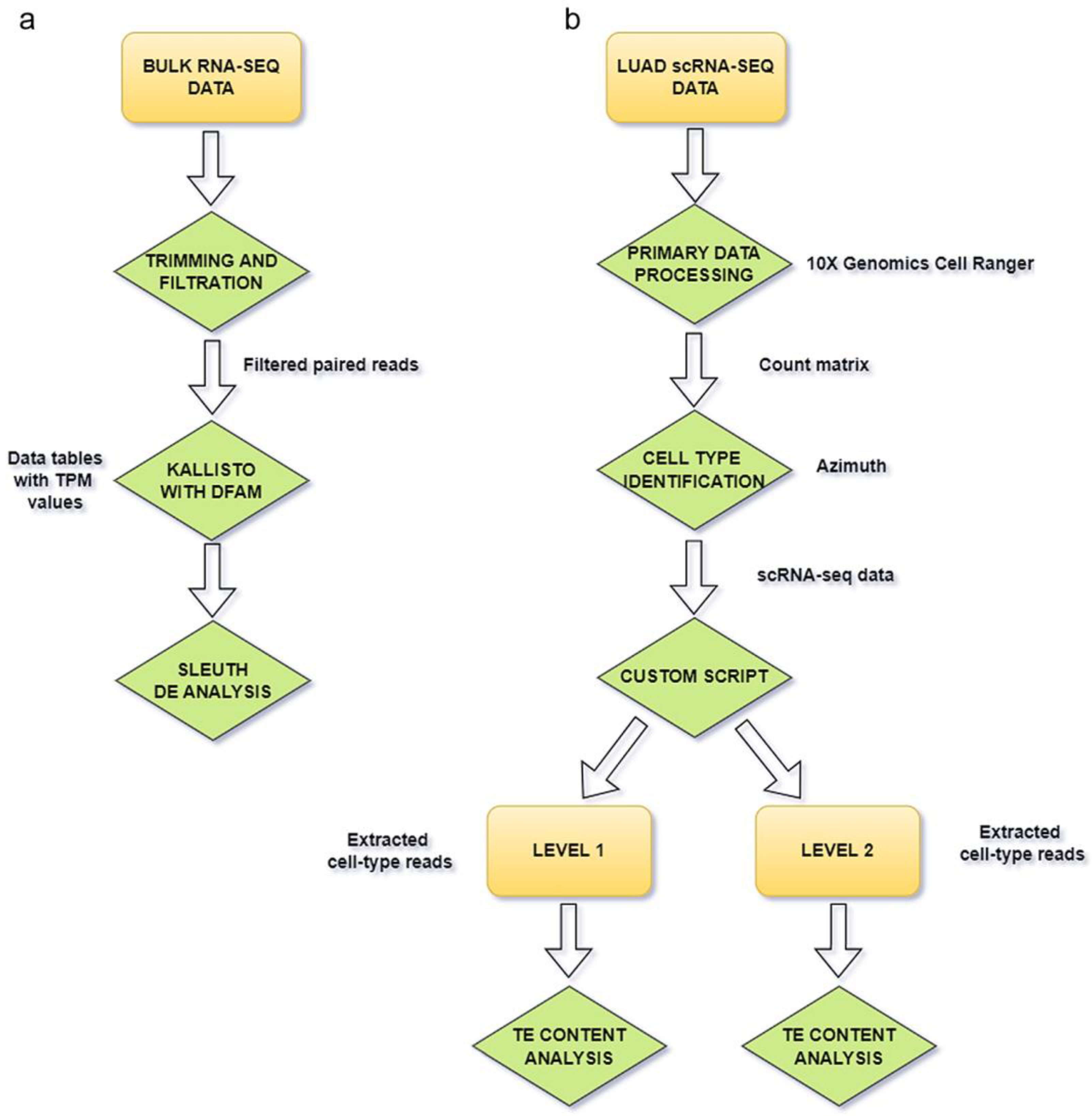 Dysregulation of Transposon Transcription Profiles in Cancer Cells 