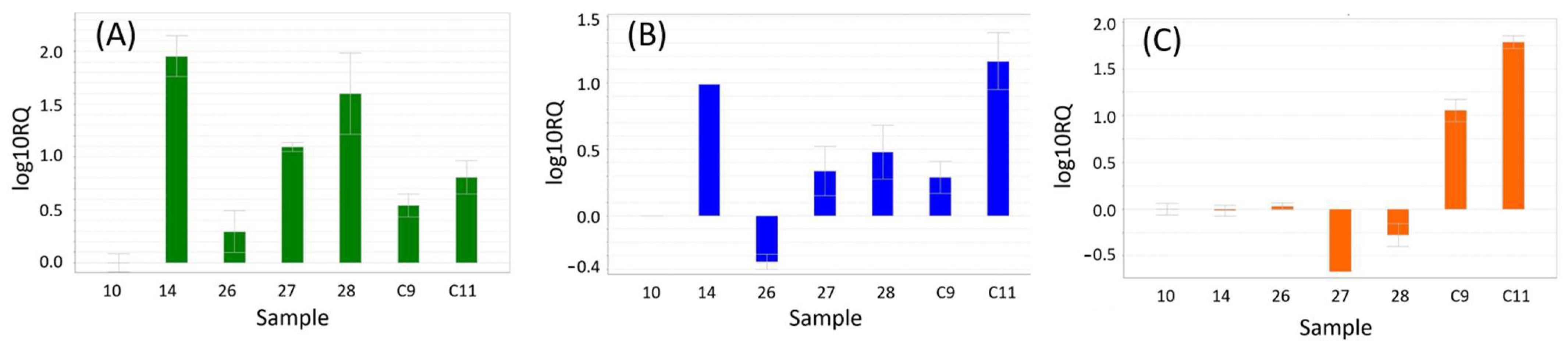 Cimb 46 00520 g003 Cimb 46 00520 g003
