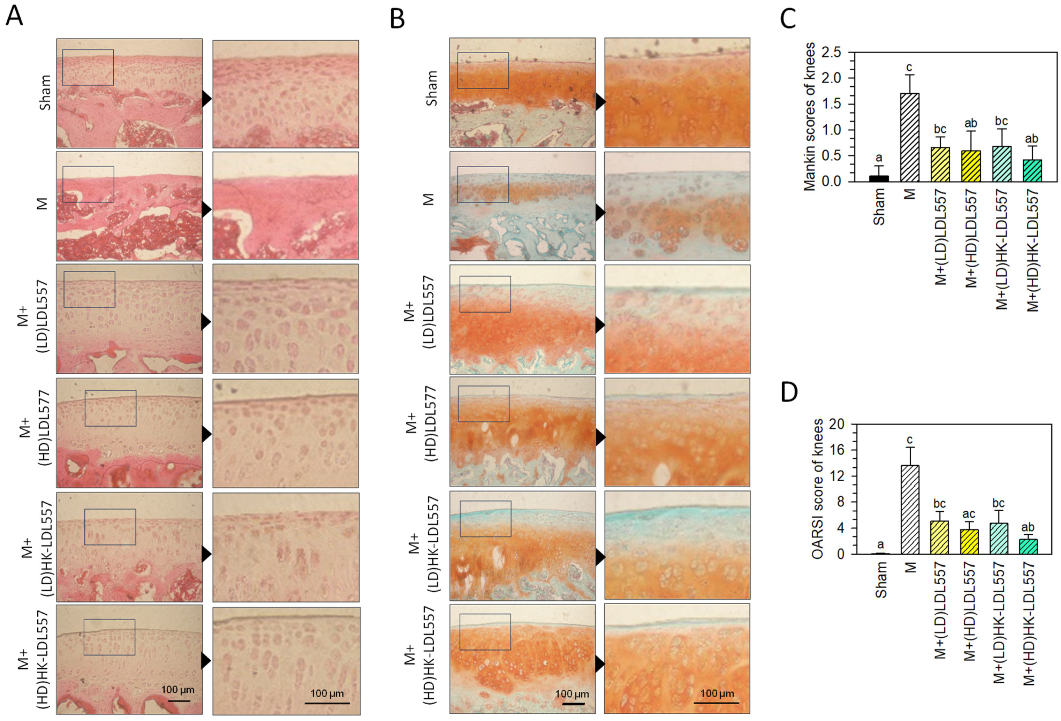 Cimb 46 00530 g002 Cimb 46 00530 g002