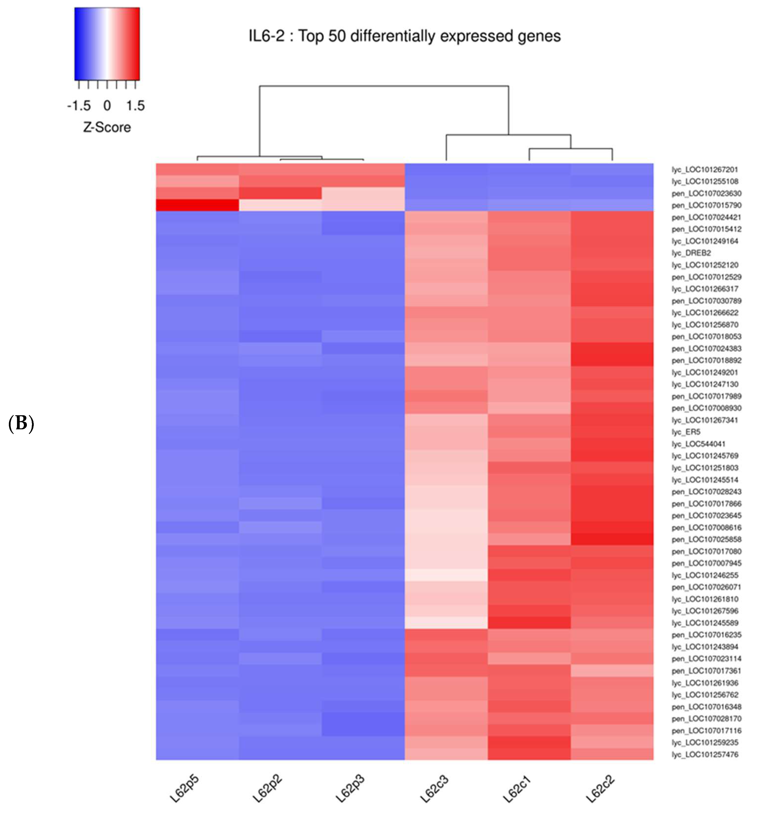 Cimb 46 00535 g004b Cimb 46 00535 g004b