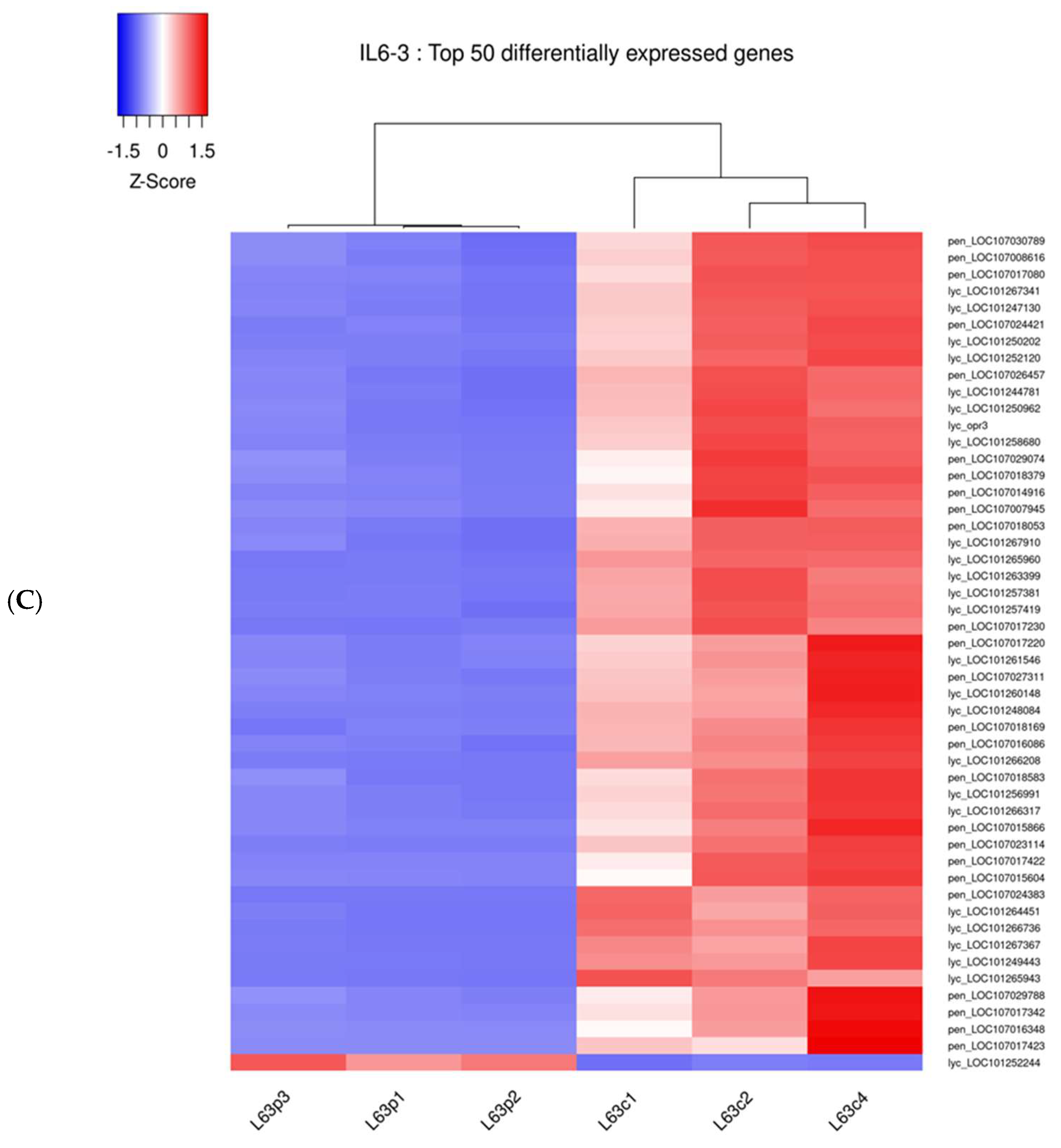 Cimb 46 00535 g004c Cimb 46 00535 g004c