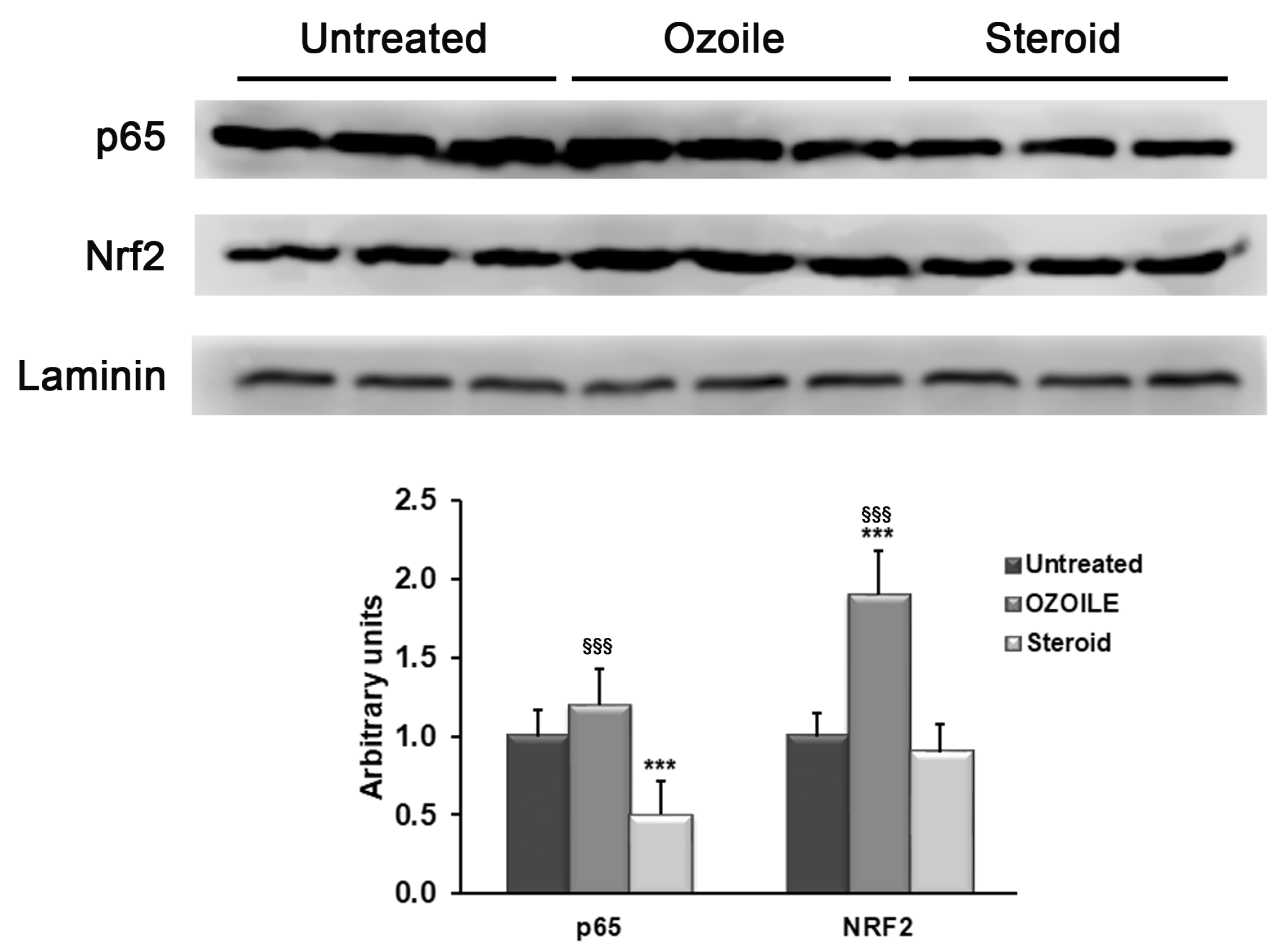 Cimb 46 00557 g002 Cimb 46 00557 g002