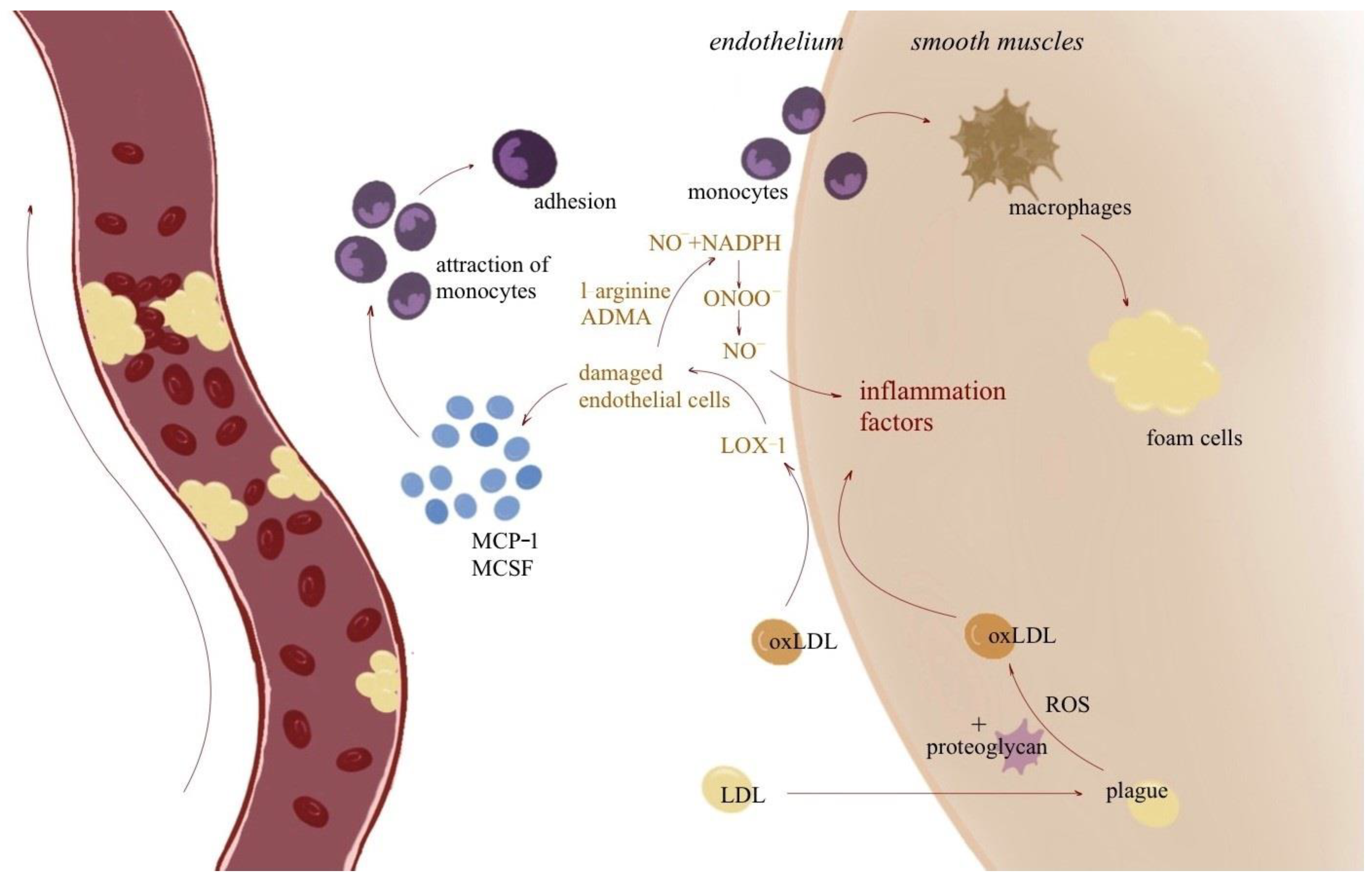 Cimb 46 00564 g001 Cimb 46 00564 g001