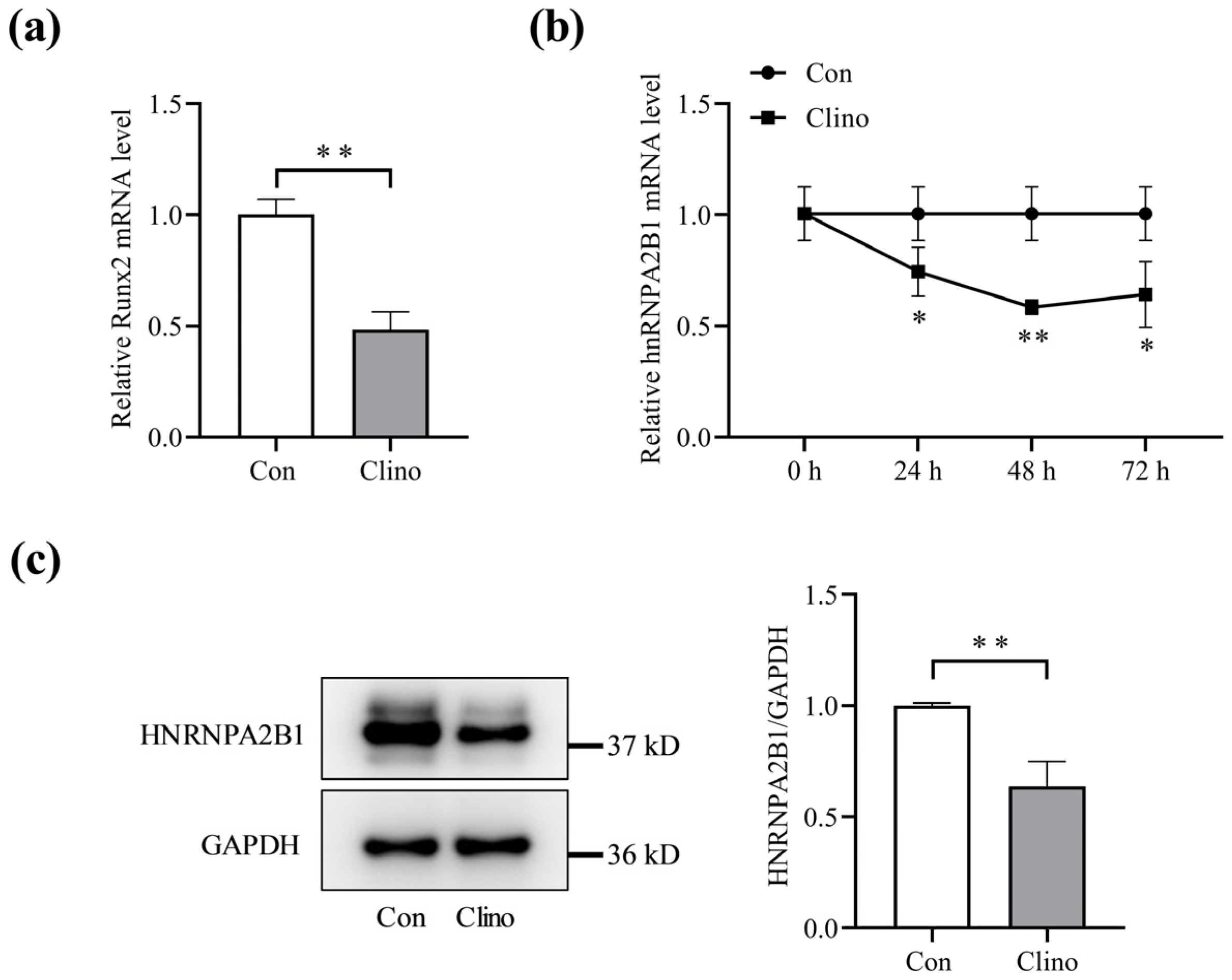 Cimb 46 00572 g001 Cimb 46 00572 g001