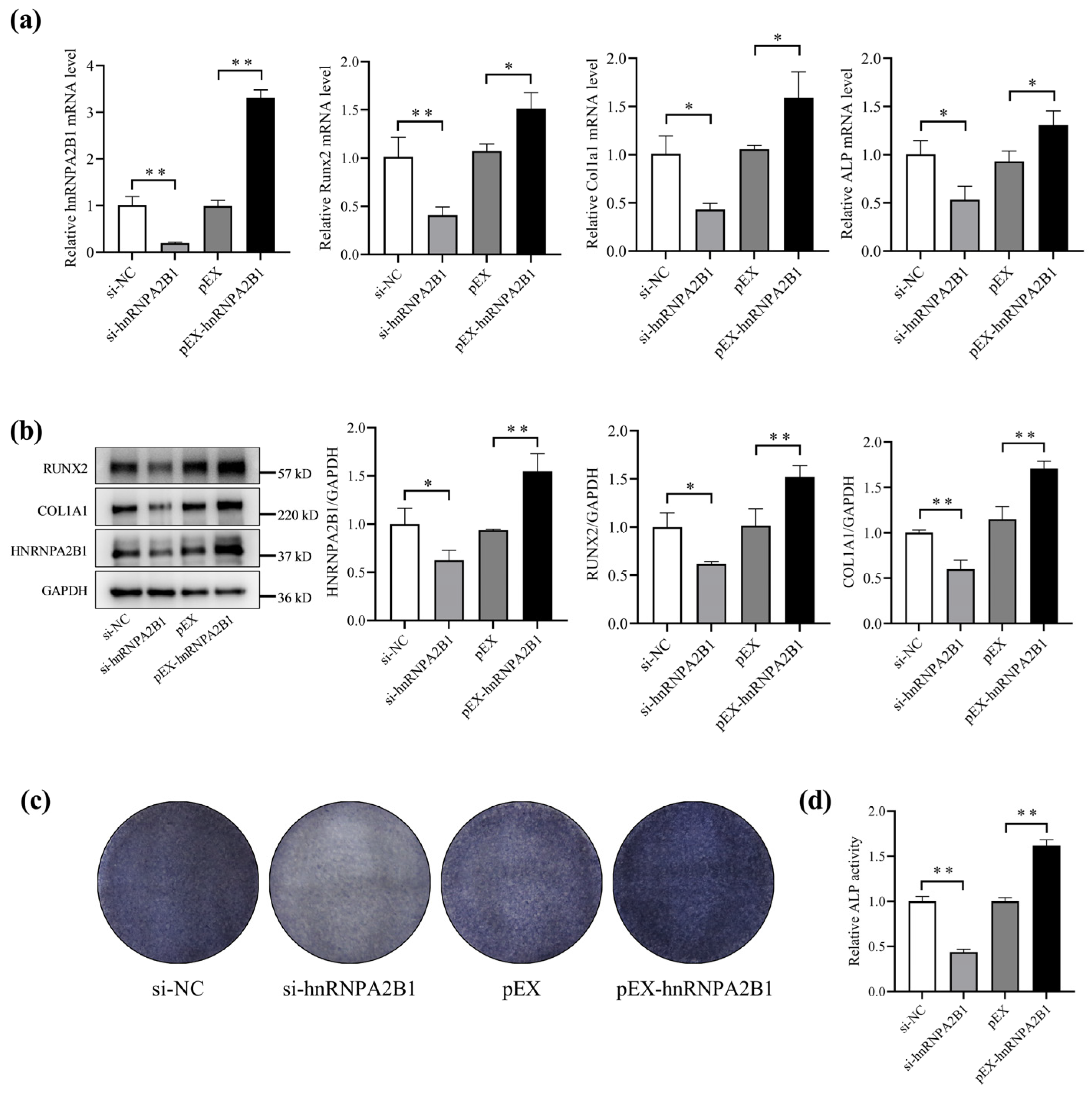 Cimb 46 00572 g002 Cimb 46 00572 g002
