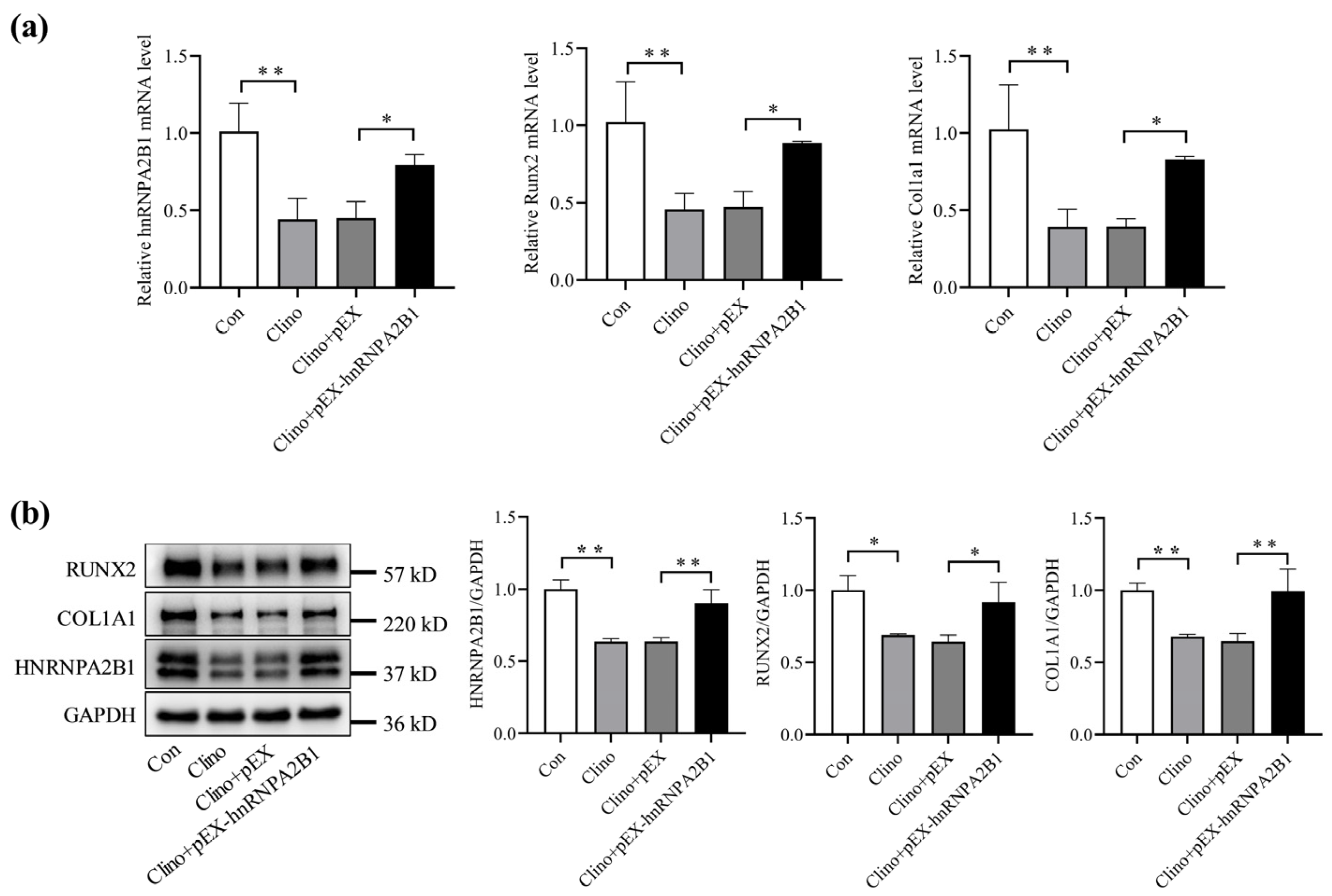 Cimb 46 00572 g003 Cimb 46 00572 g003