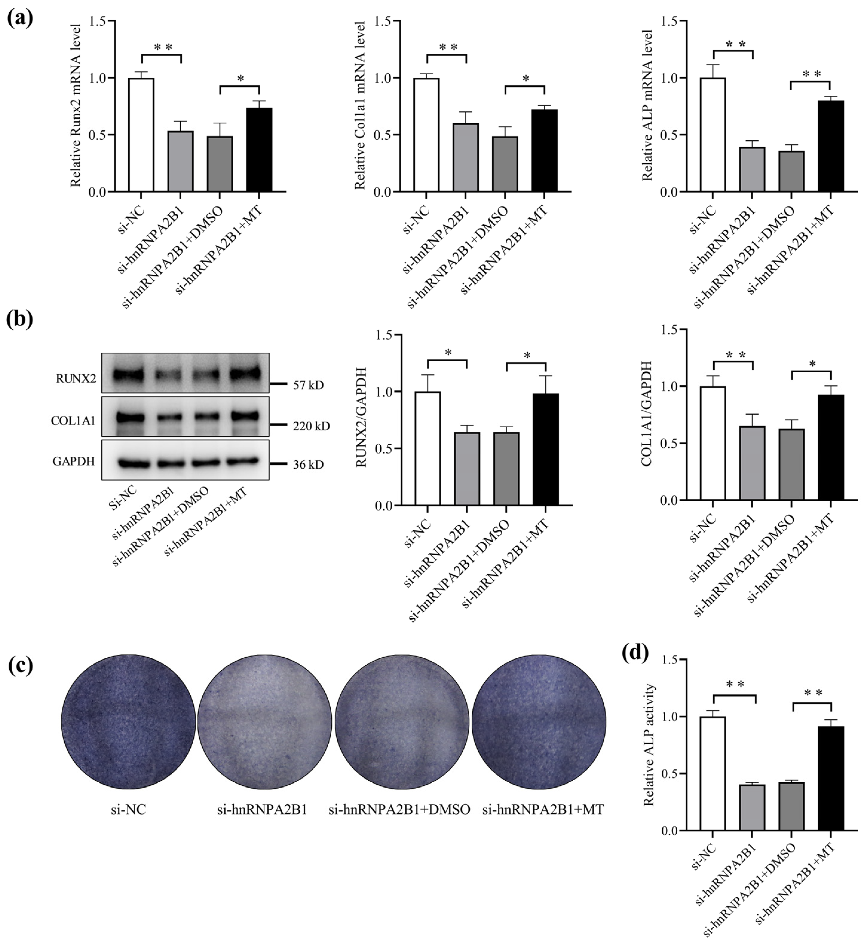 Cimb 46 00572 g005 Cimb 46 00572 g005