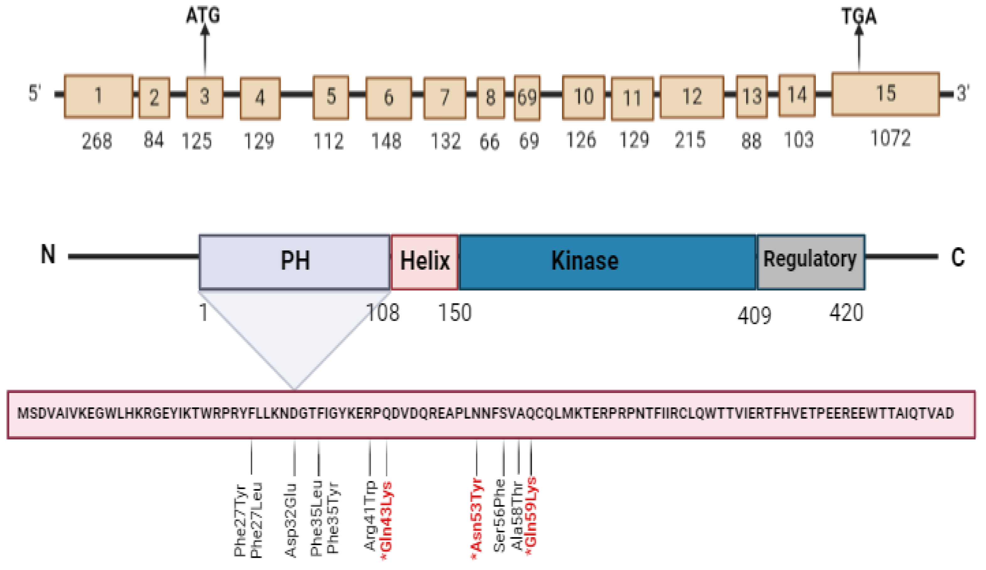 Cimb 46 00586 g002 Cimb 46 00586 g002