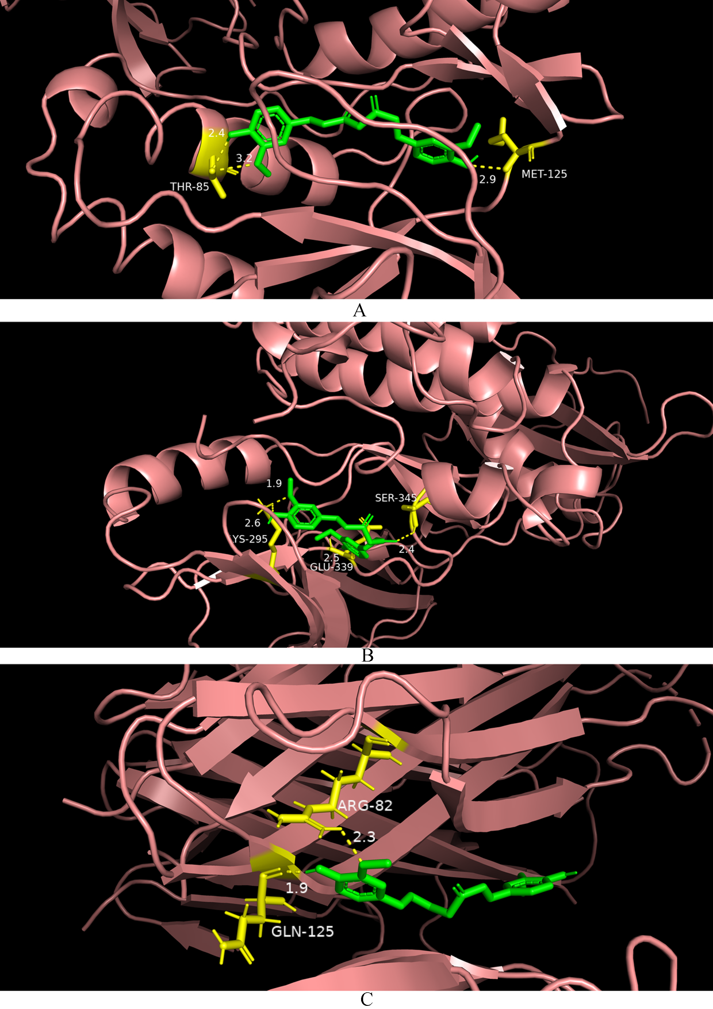 Effects of Curcumin on Radiation/Chemotherapy-Induced Oral