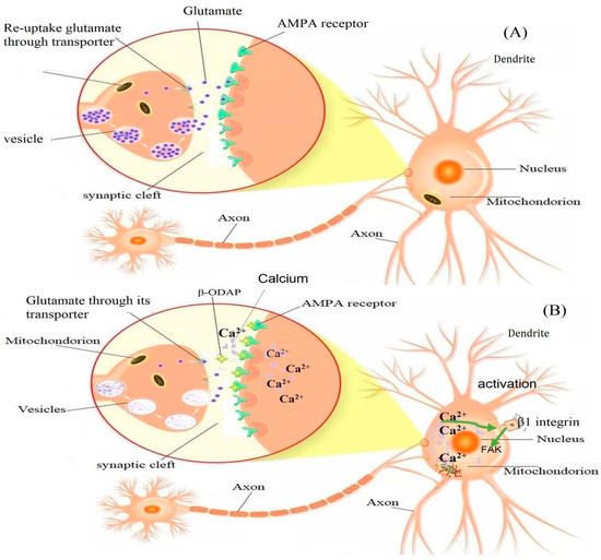 The Potential of CRISPR/Cas9 to Circumvent the Risk Factor