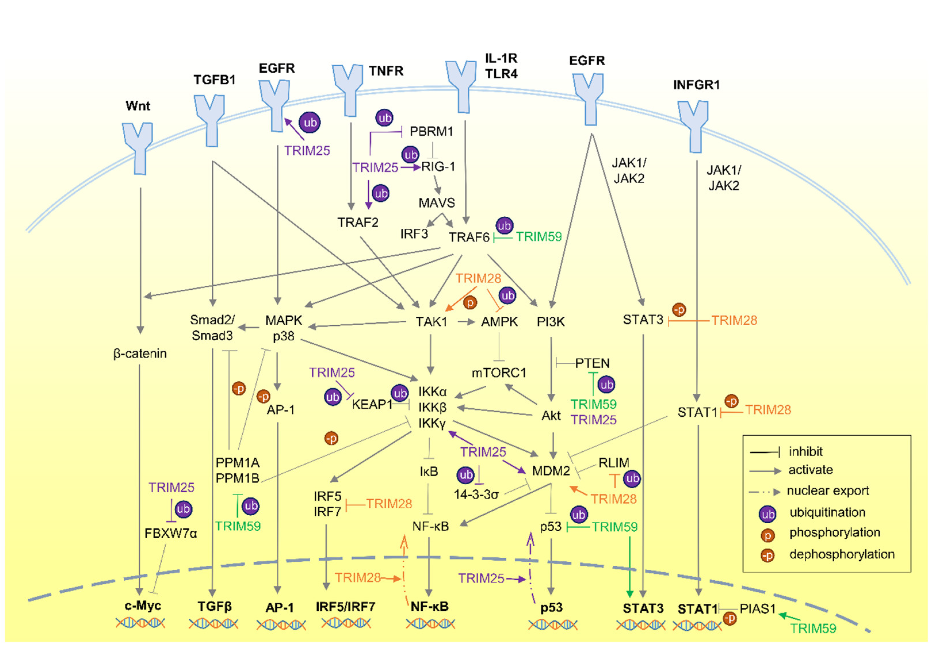 Cimb 46 00638 g001 Cimb 46 00638 g001