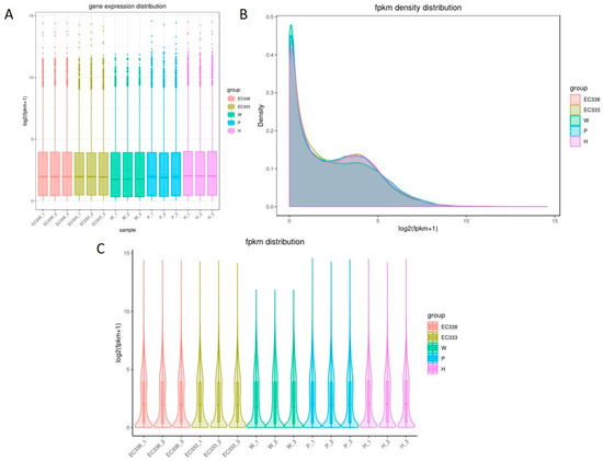 Exploring the Genetic Basis of Calonectria spp. Resistance