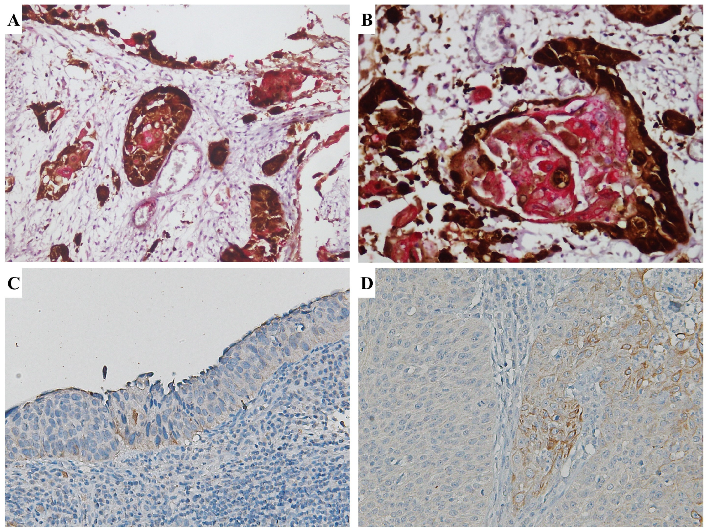 Cimb 46 00670 g003 Cimb 46 00670 g003