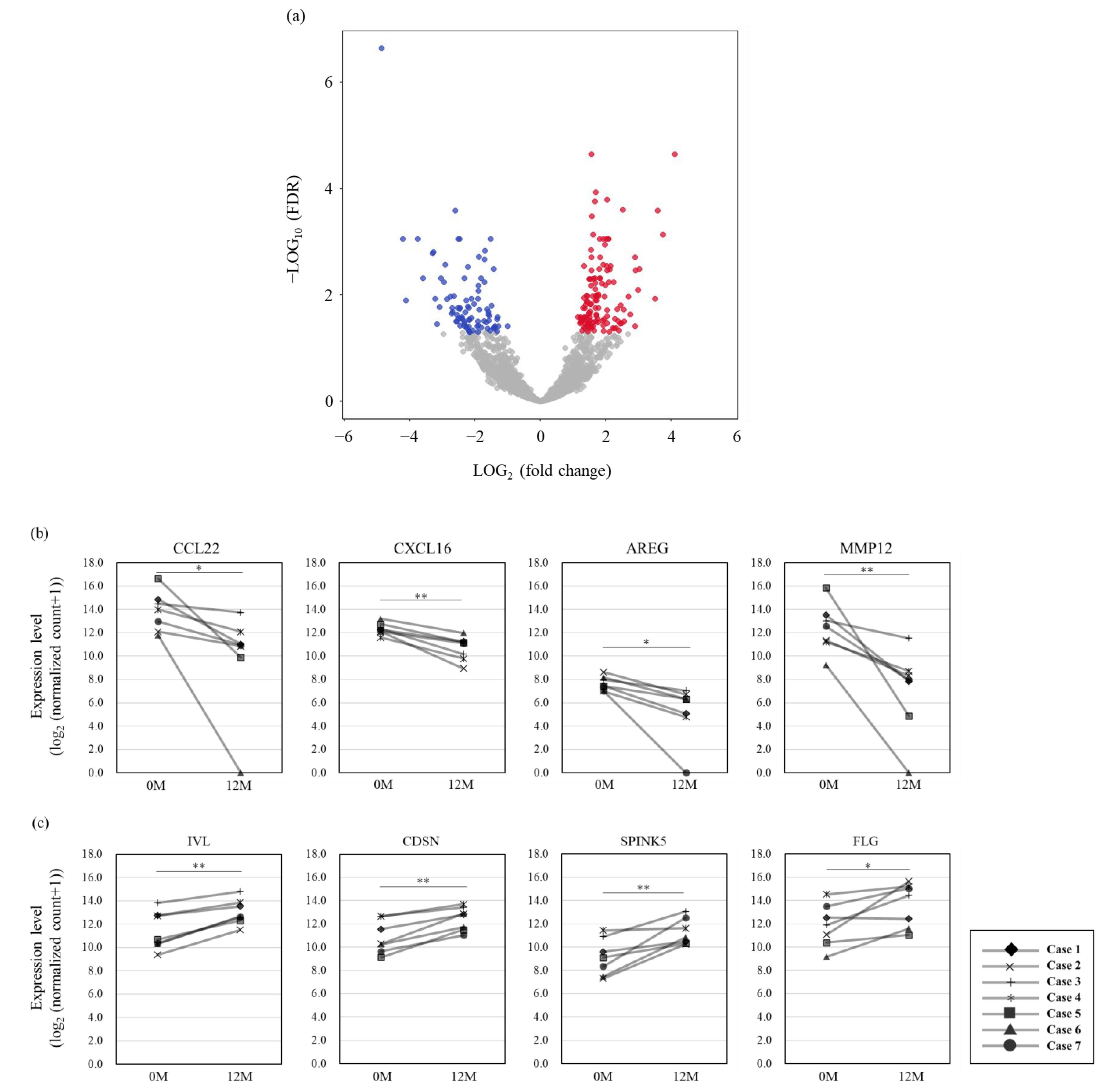 Impact of Dupilumab on Skin Surface Lipid-RNA Profile in