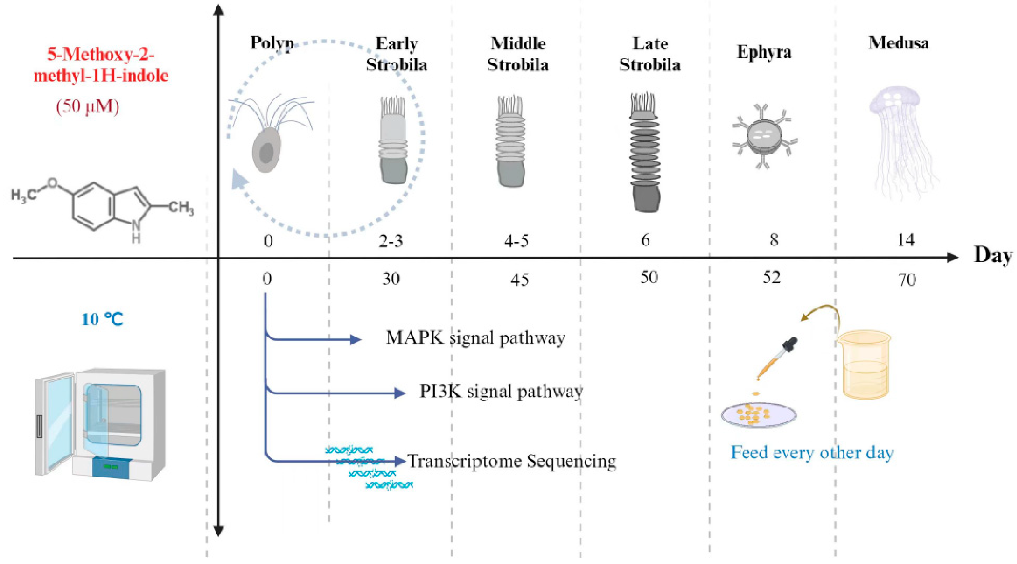 Cimb 46 00690 g001 Cimb 46 00690 g001
