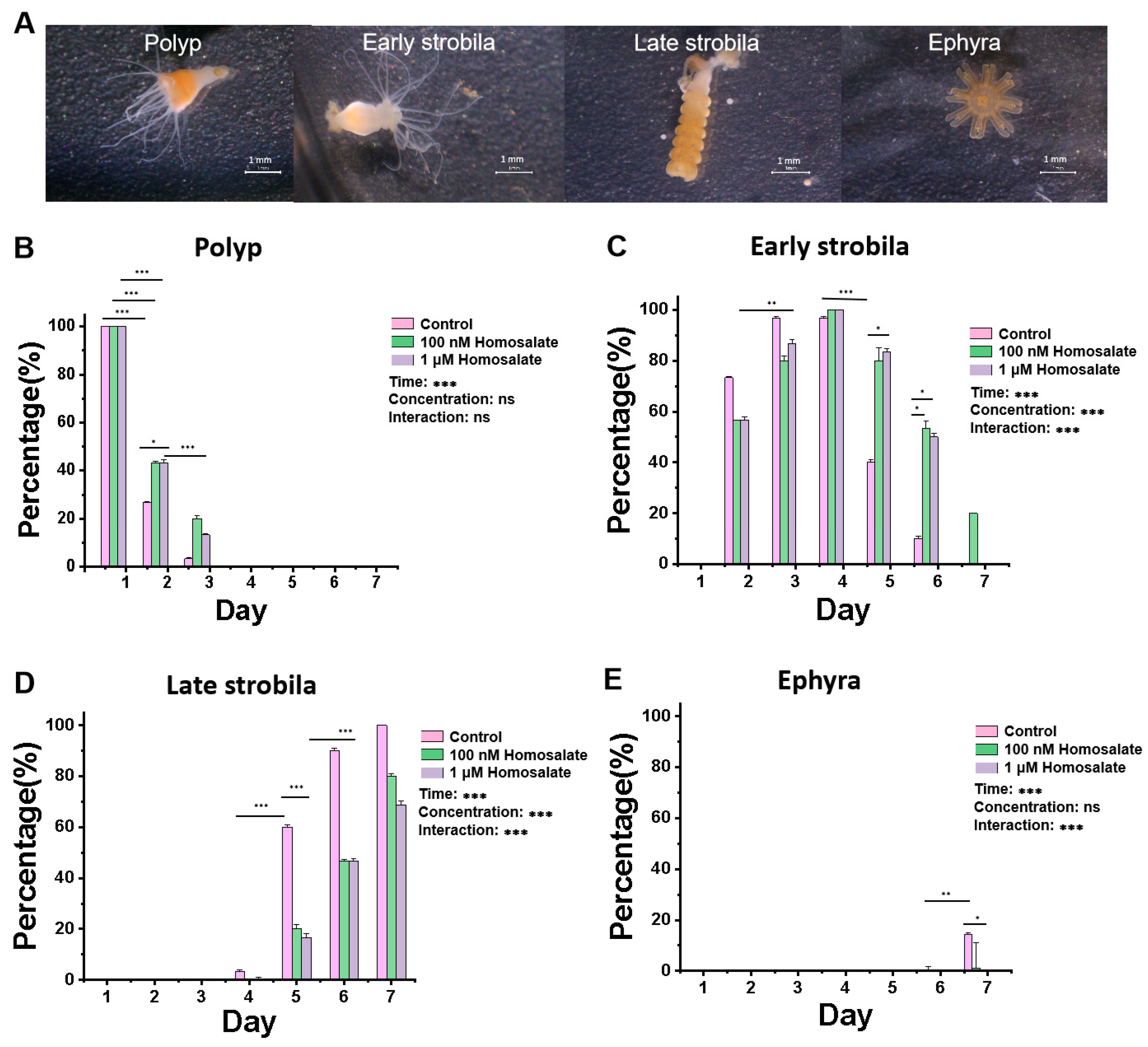 Cimb 46 00690 g002 Cimb 46 00690 g002