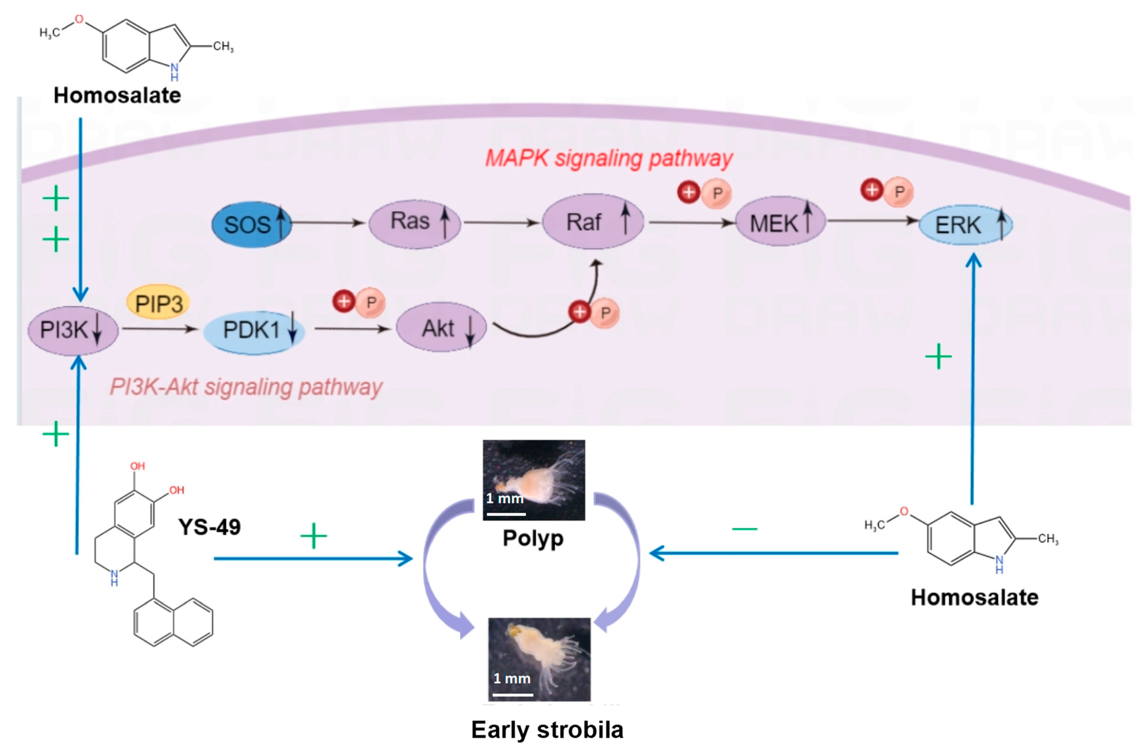 Cimb 46 00690 g005 Cimb 46 00690 g005