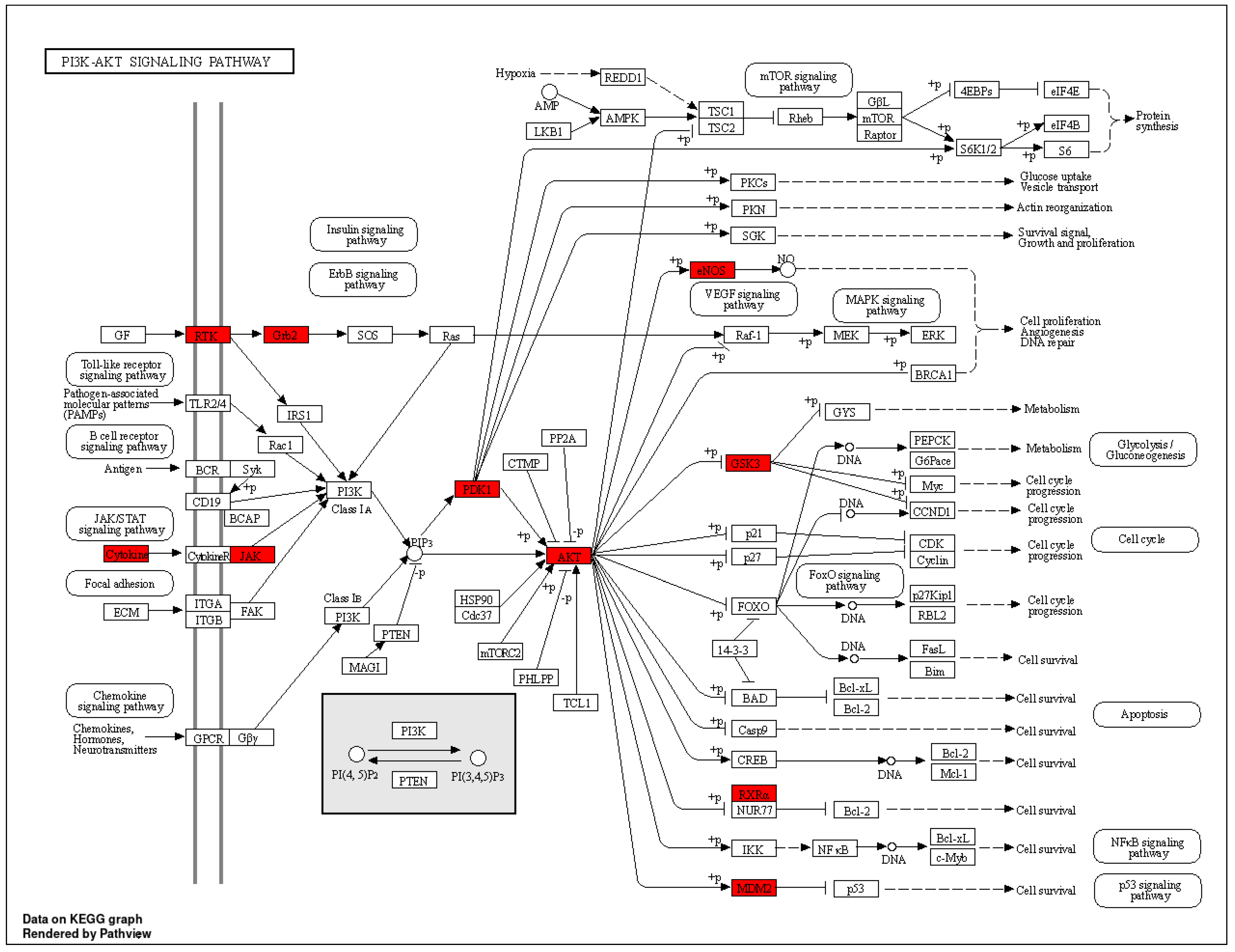 Cimb 46 00705 g013 Cimb 46 00705 g013