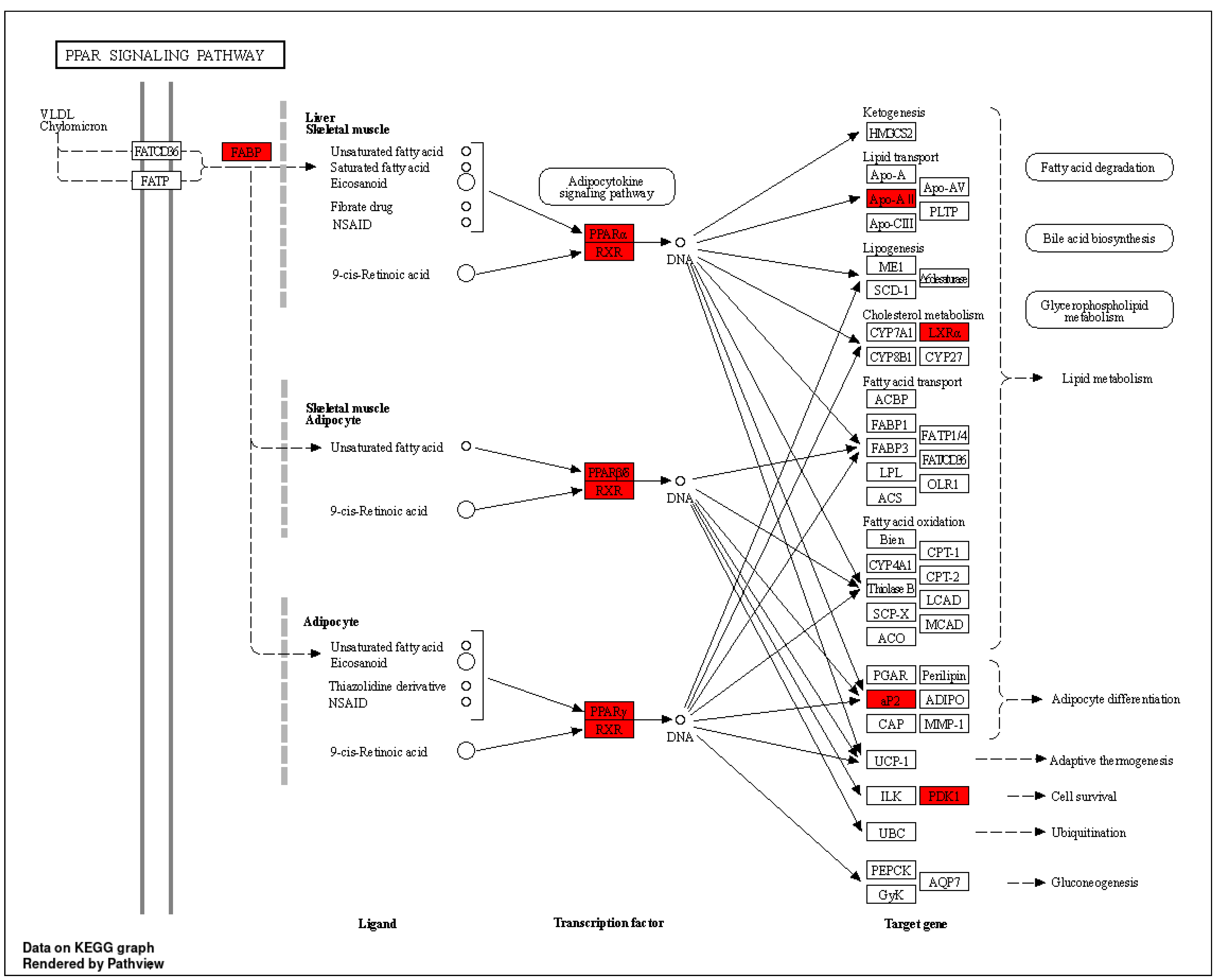 Cimb 46 00705 g014 Cimb 46 00705 g014