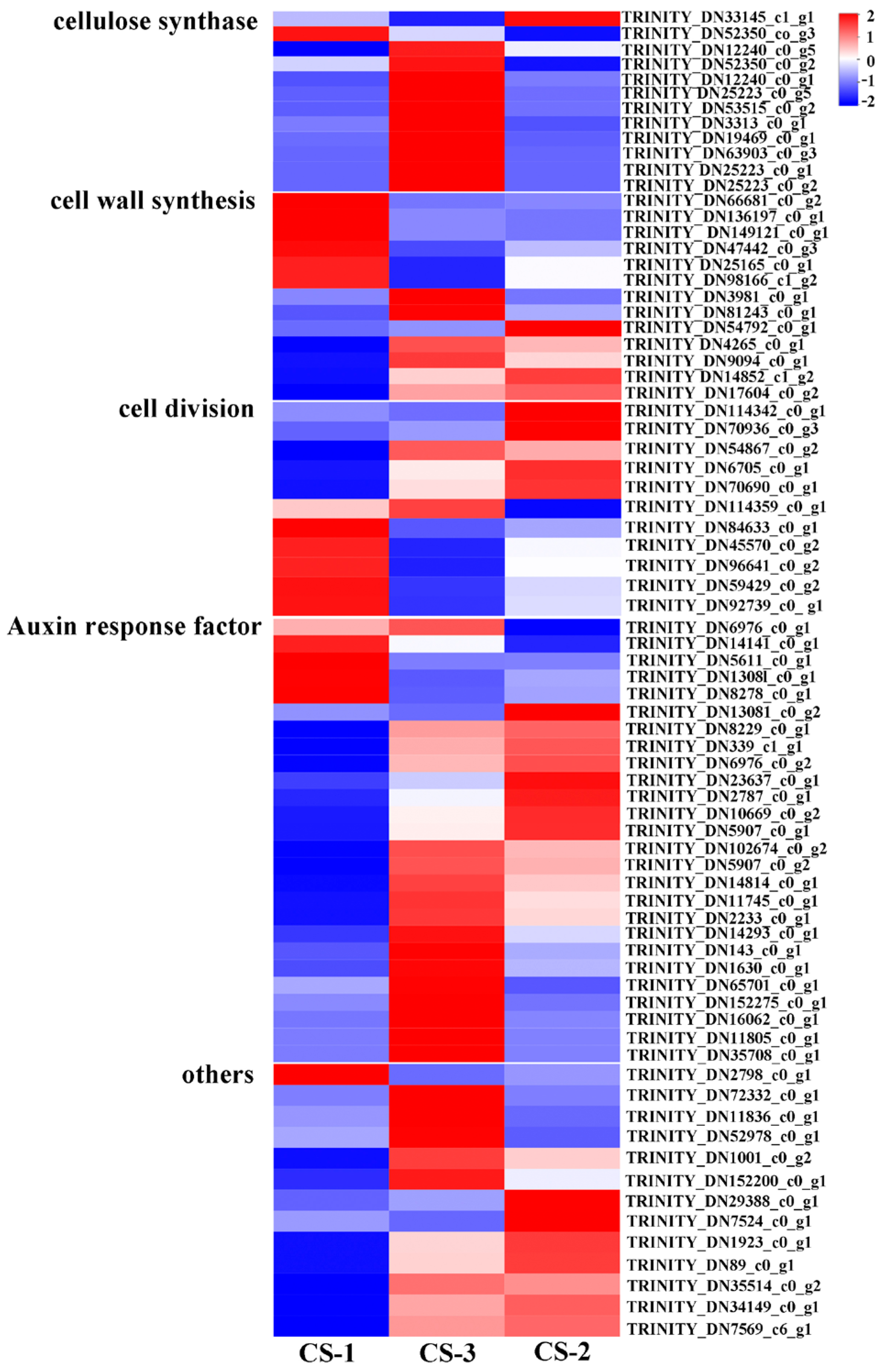 Cimb 46 00708 g004 Cimb 46 00708 g004