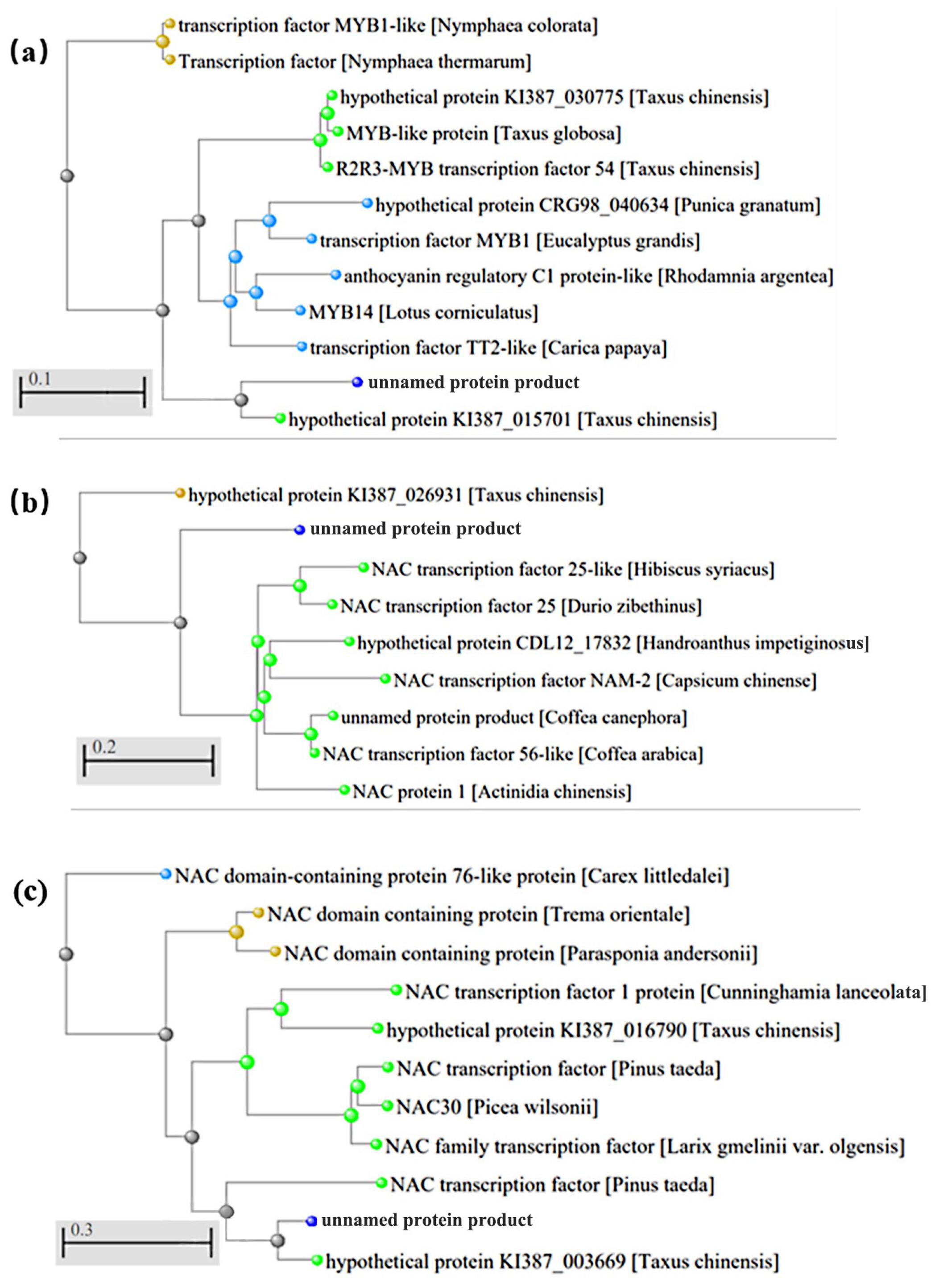 Cimb 46 00708 g006 Cimb 46 00708 g006